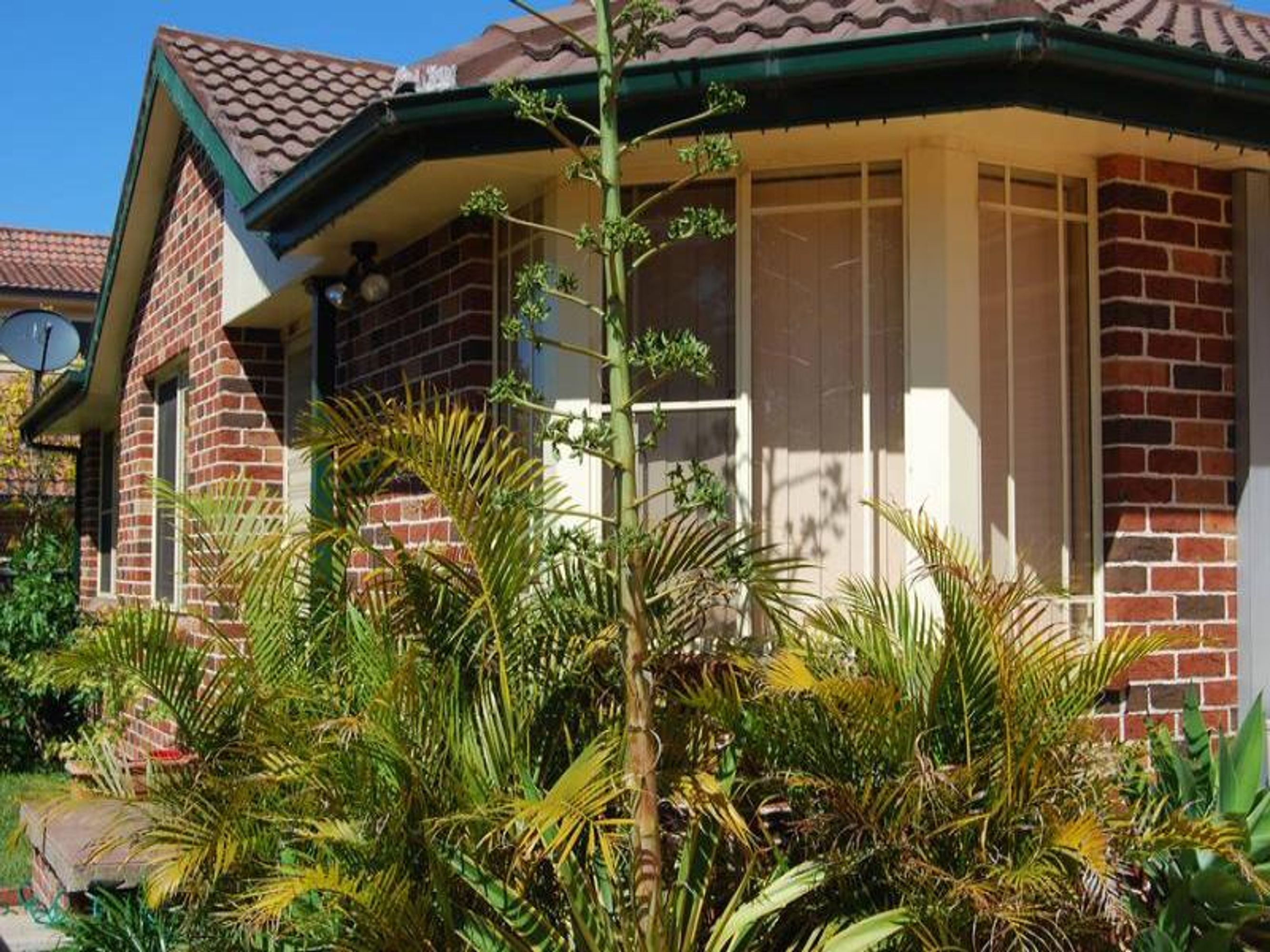 Werrington NSW 2747, Werrington - Thumbnail 4