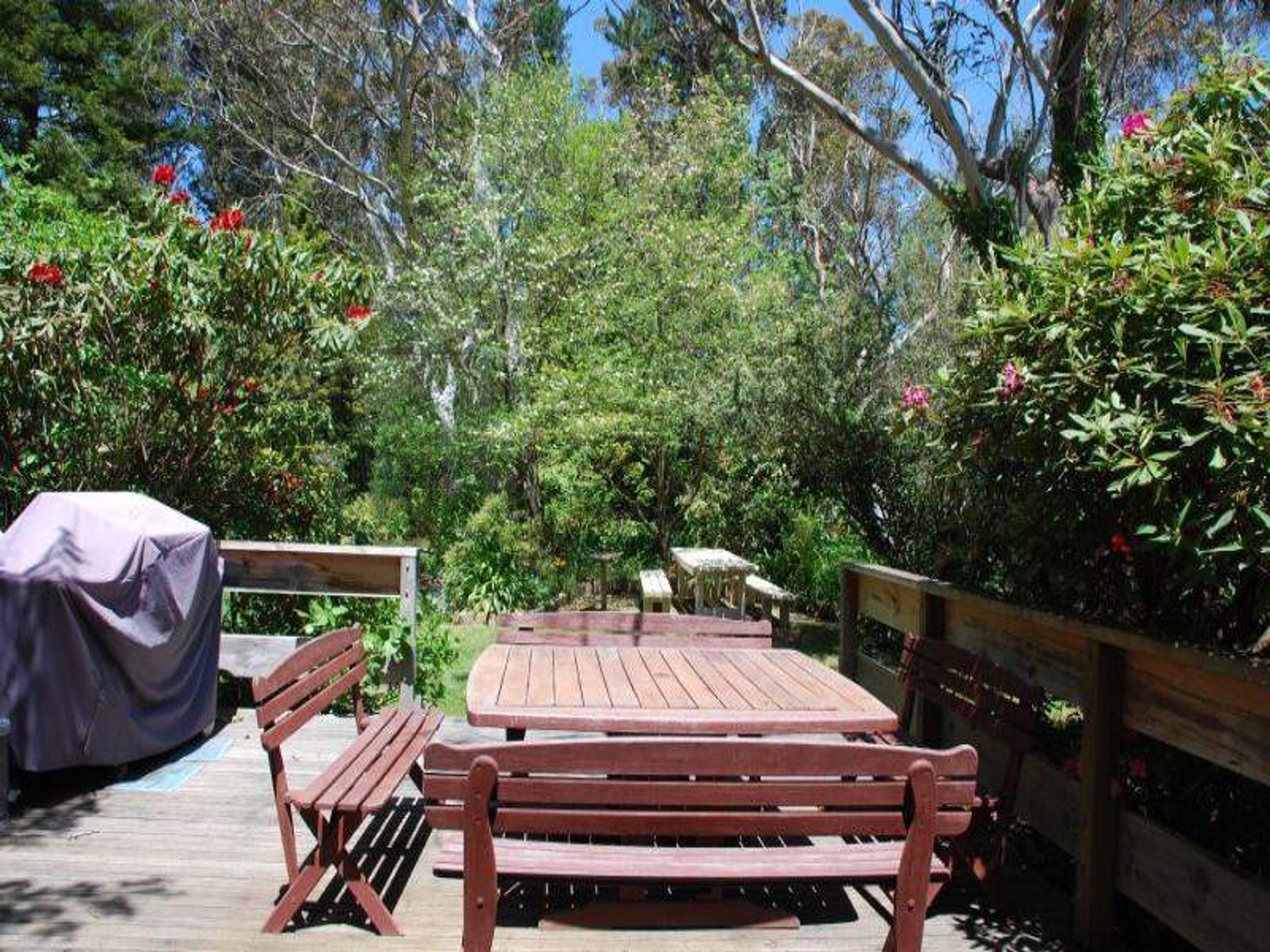 16 Forster Rd, Katoomba - Thumbnail 4