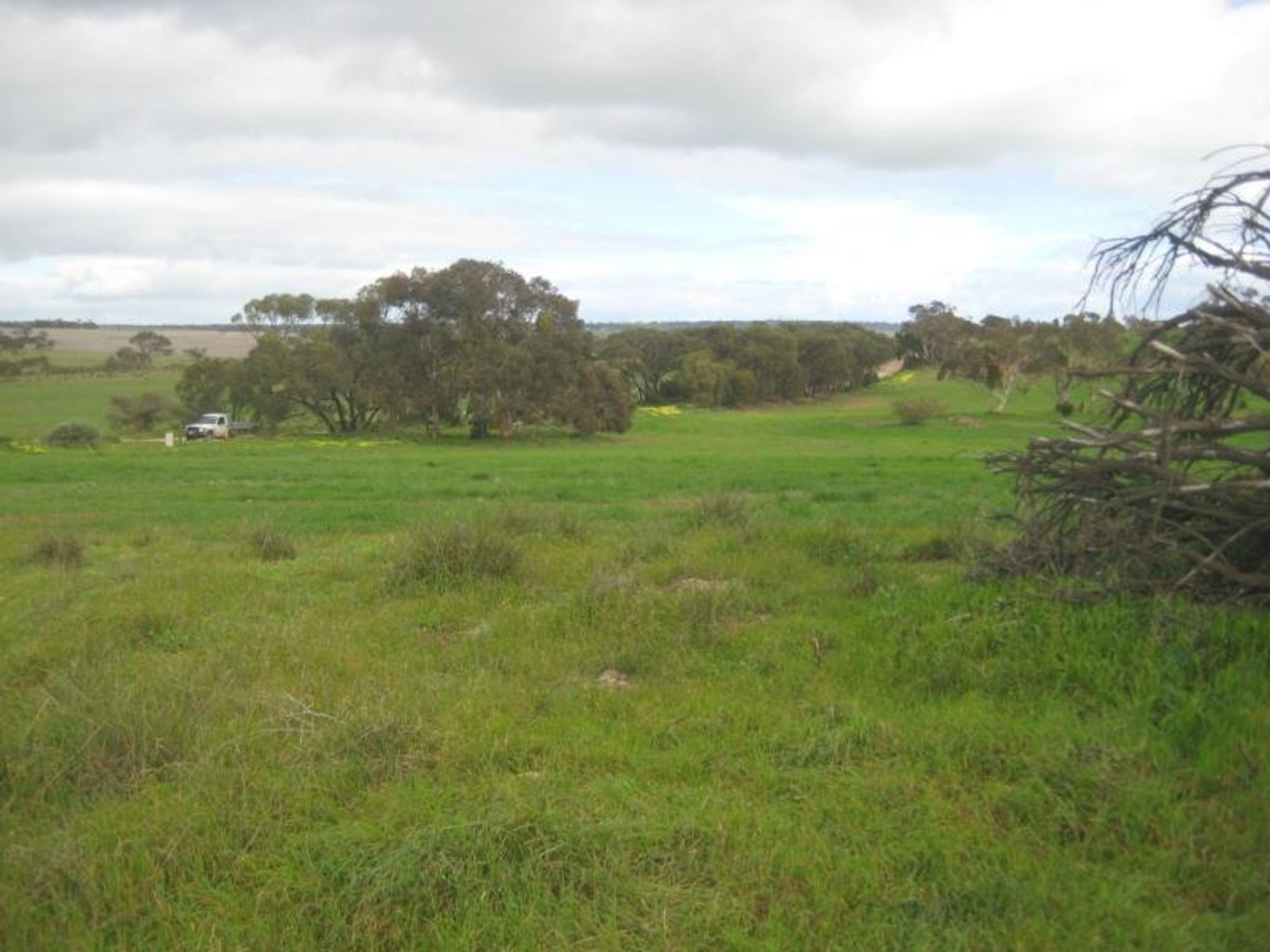 Lot 96 Anders Road, Rockleigh, SA 5254, Rockleigh - Thumbnail 8