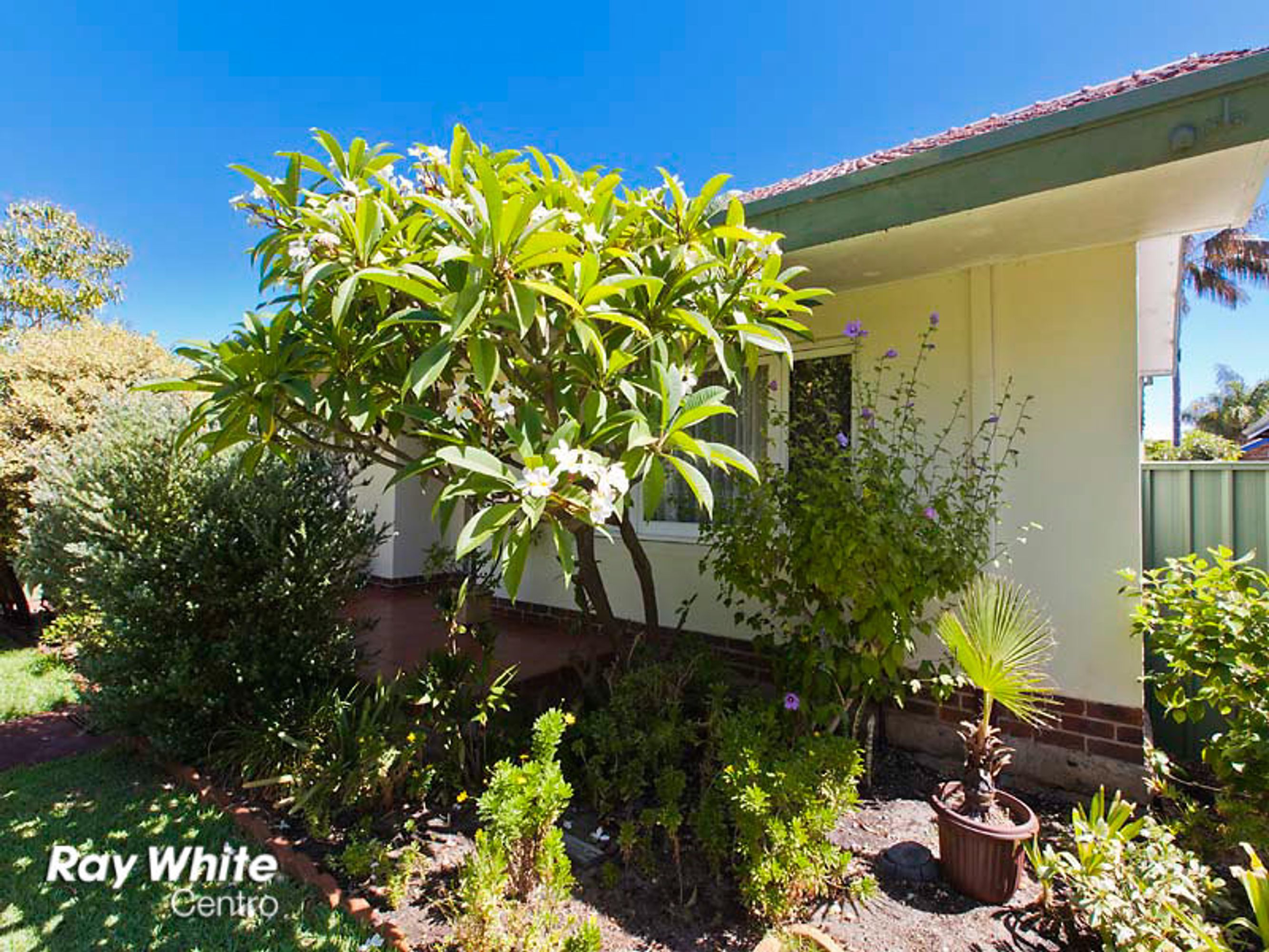 173 Daglish Street, Wembley, WA 6014, Wembley - Thumbnail 3