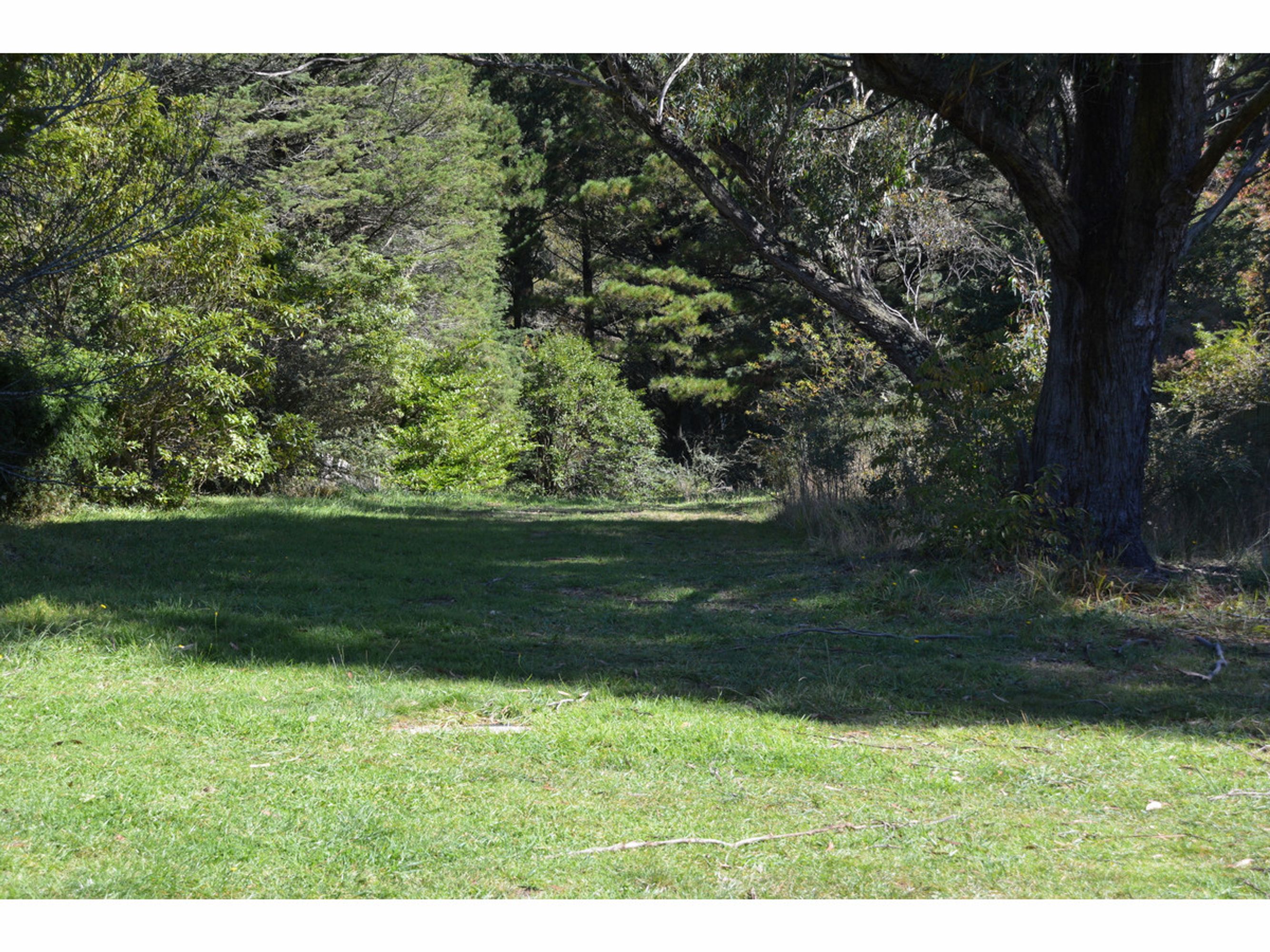29 Selby Street, Katoomba - Thumbnail 4