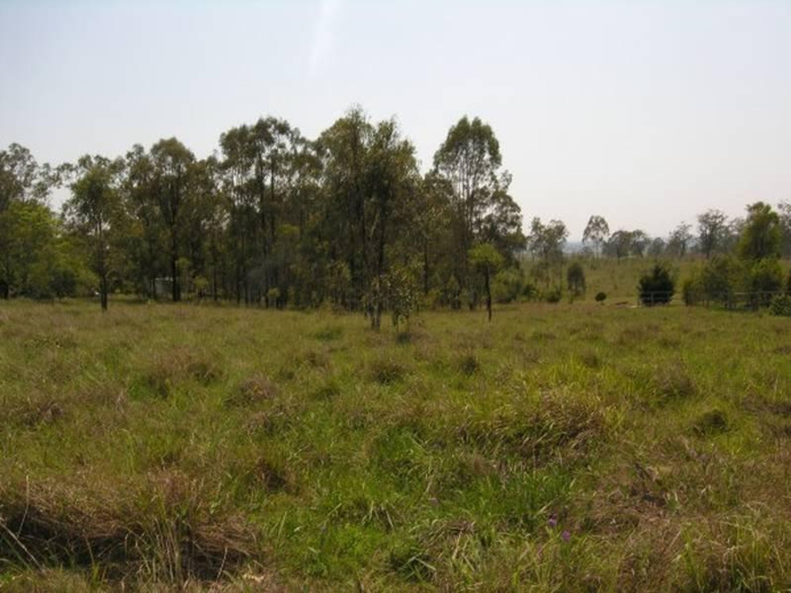 30 Hampton Road, Waterview Heights - Thumbnail 5