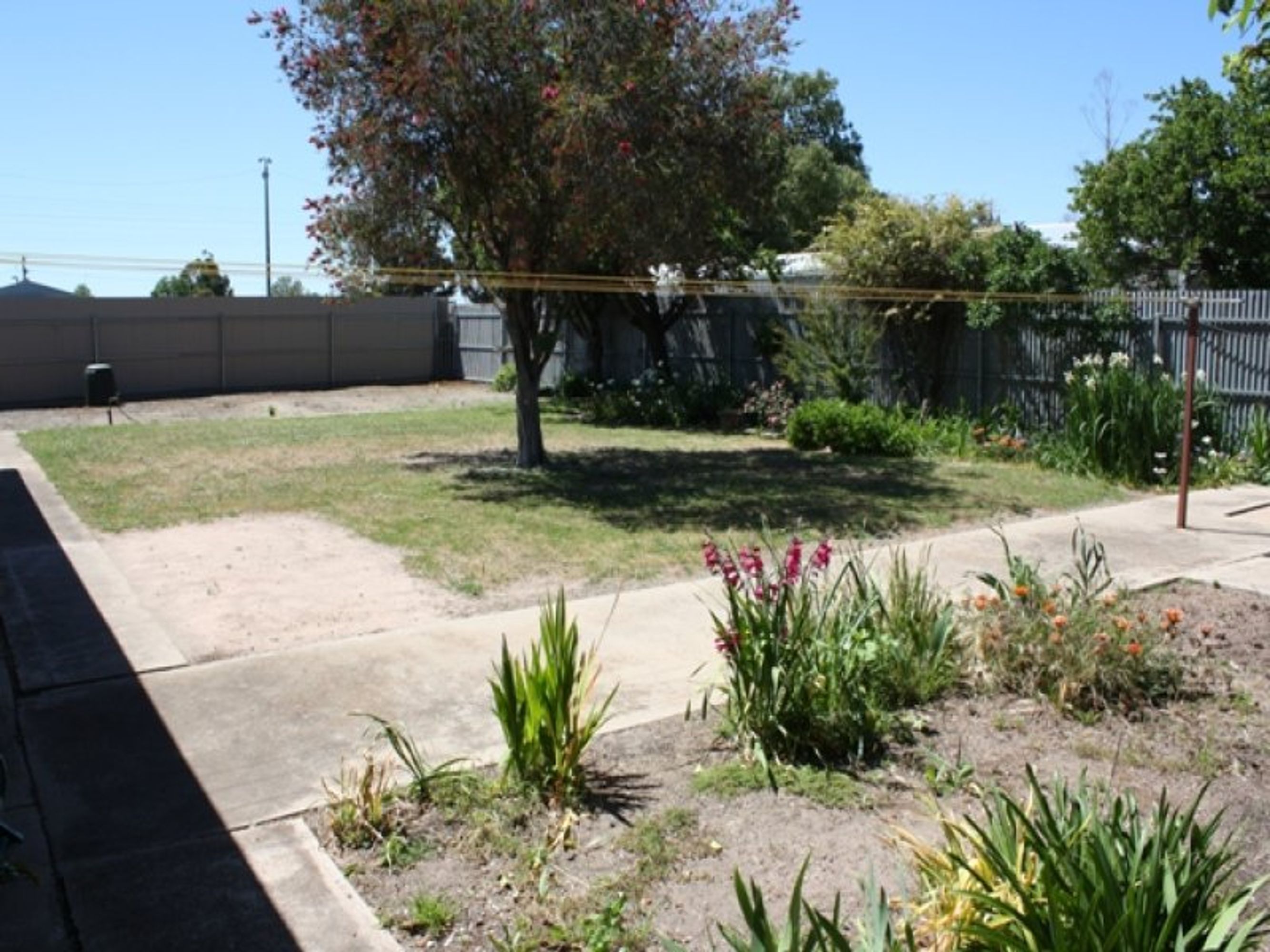 14 Caroline Street, Horsham VIC 3400, Horsham - Thumbnail 2