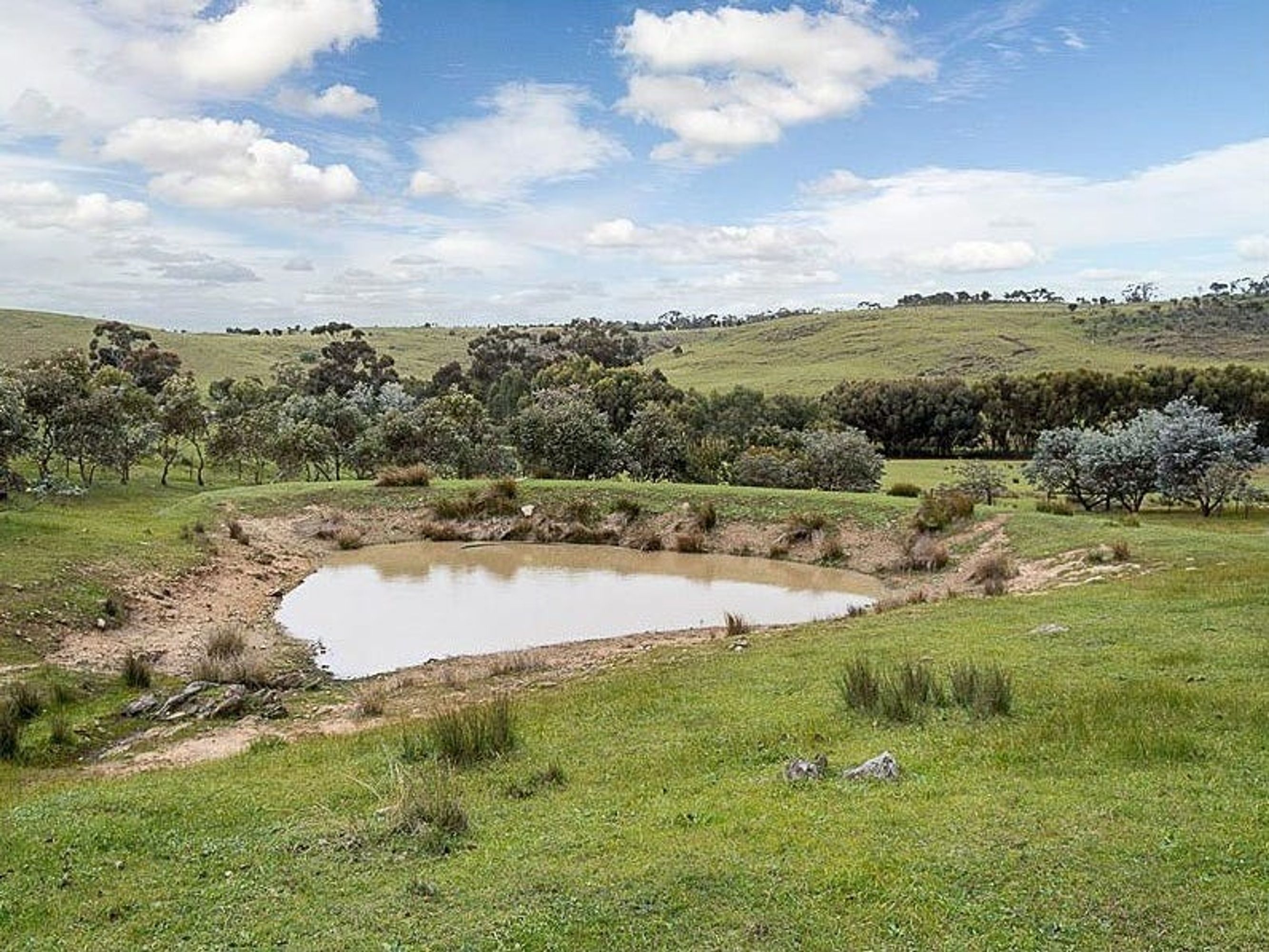 547 Bondleigh Road, Rockleigh, SA 5254, Rockleigh - Thumbnail 7