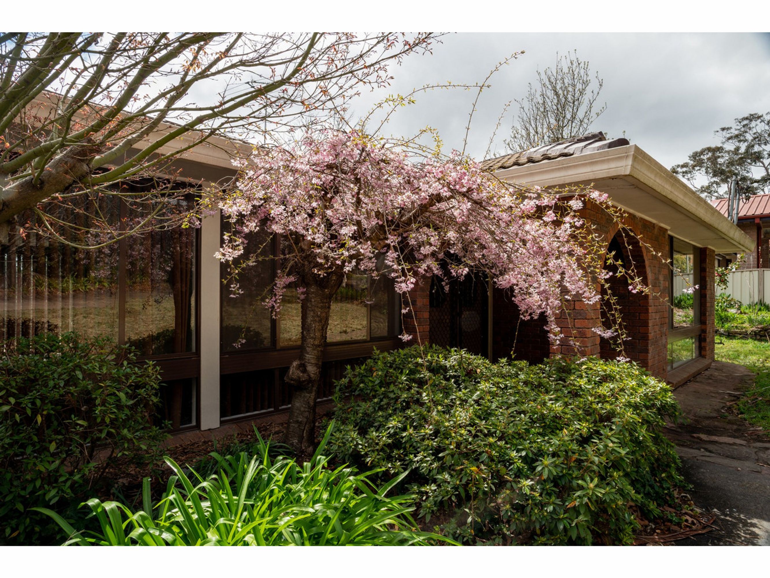 55 Farnells Road, Katoomba - Thumbnail 2