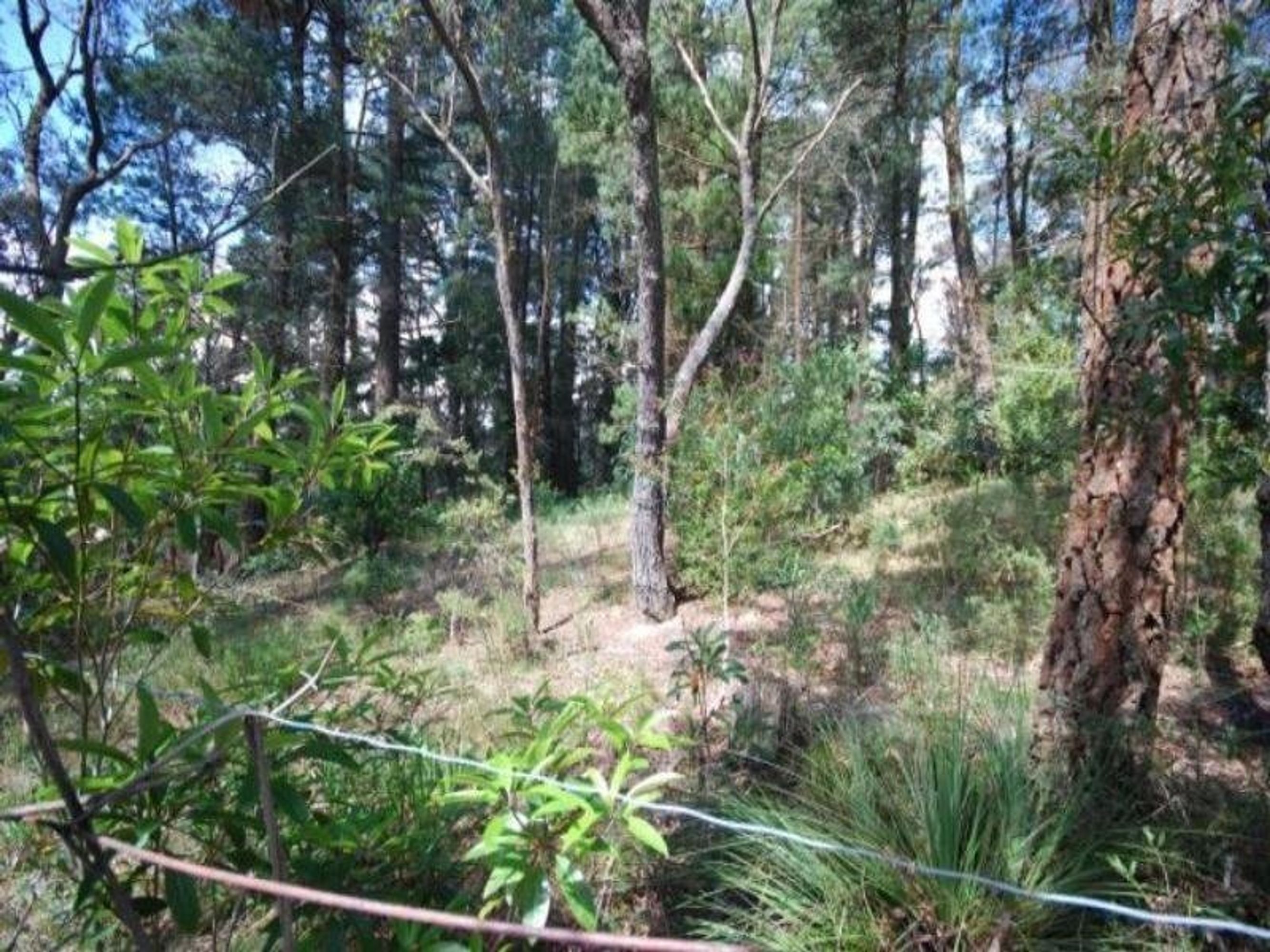 43 Second Avenue, Katoomba - Thumbnail 2