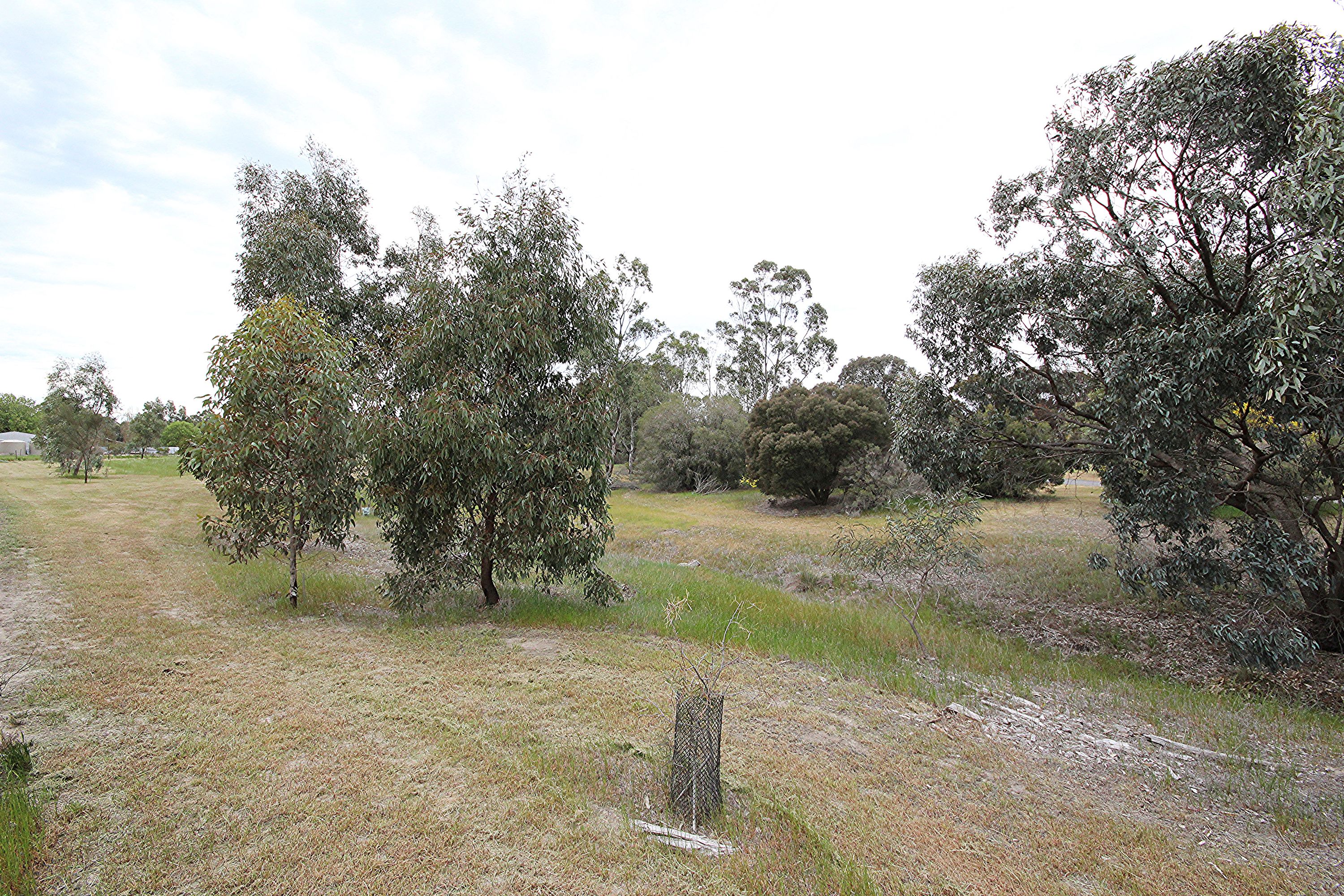 25 Walnut Avenue, Horsham, VIC 3400, Horsham - Thumbnail 8