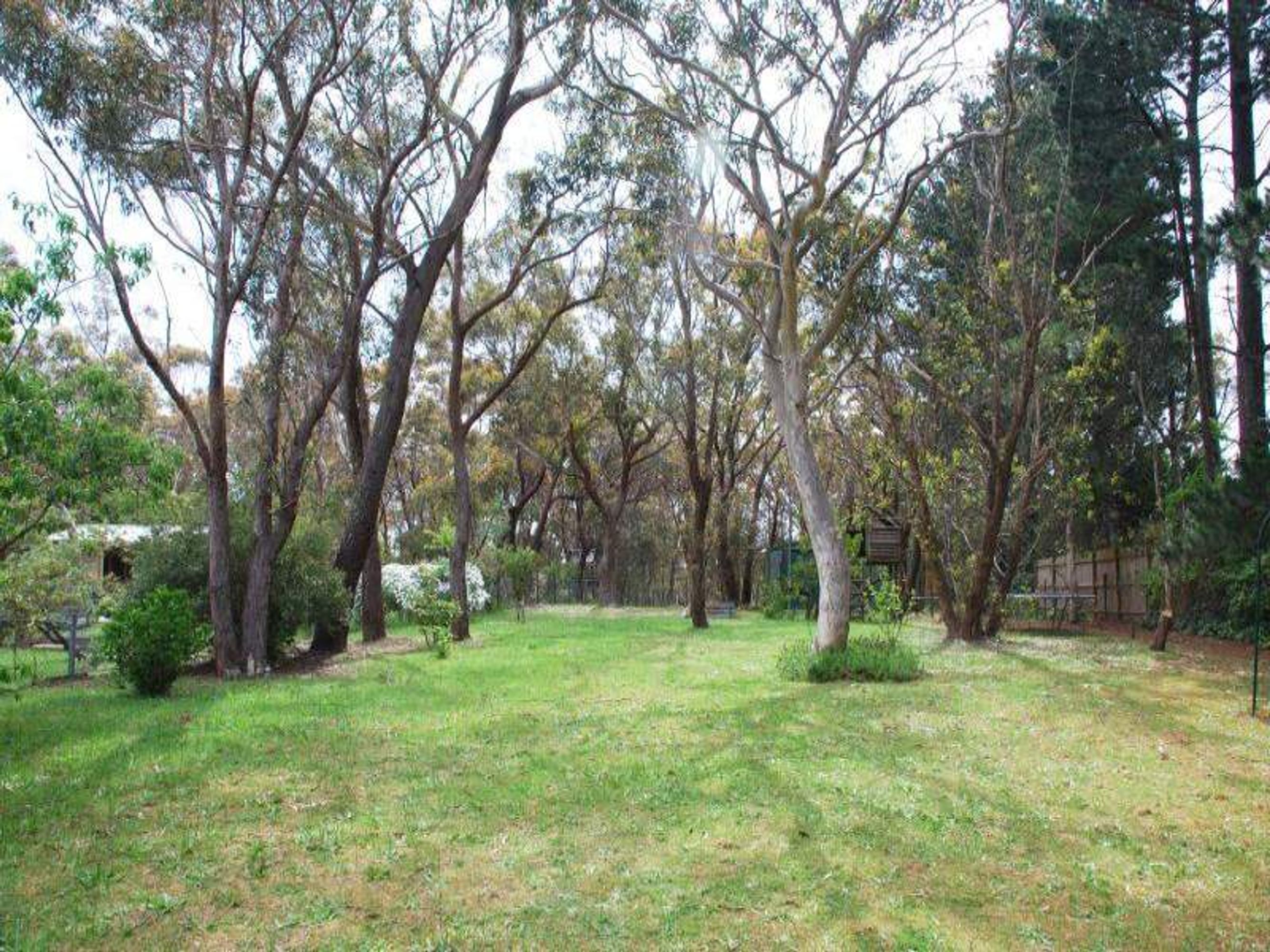 99 Narrowneck Rd, Katoomba - Thumbnail 2