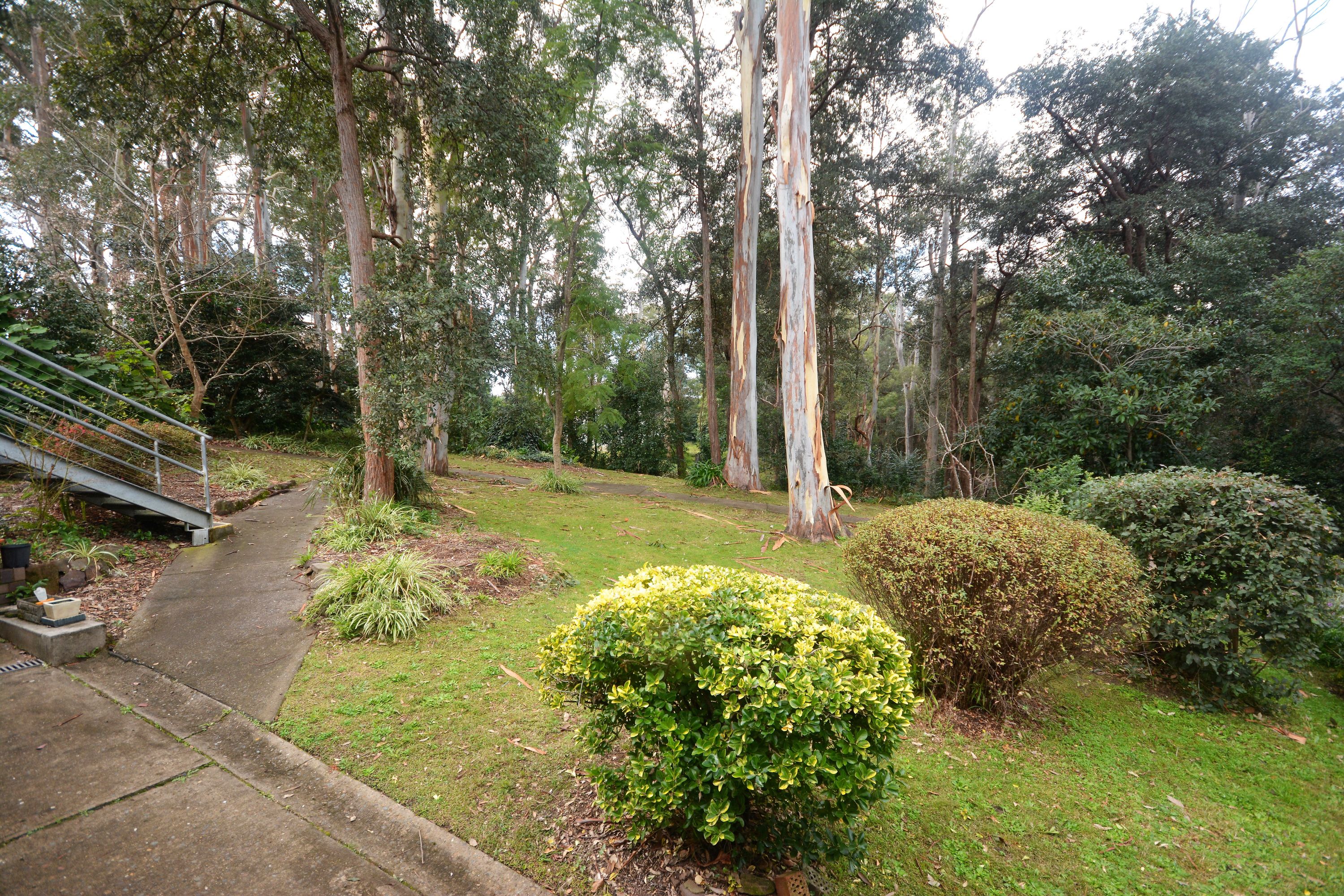 3/4 David Road, Springwood - Thumbnail 8
