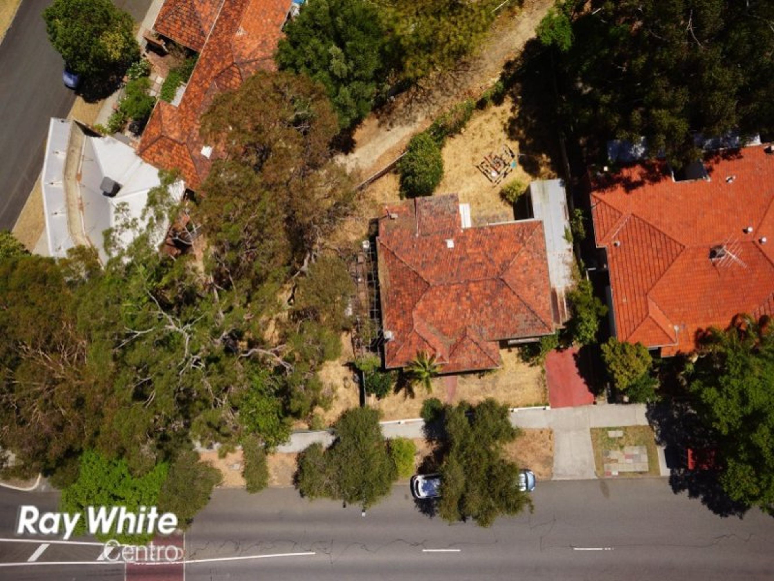 78 Ruislip Street, Wembley, WA 6014, Wembley - Thumbnail 7