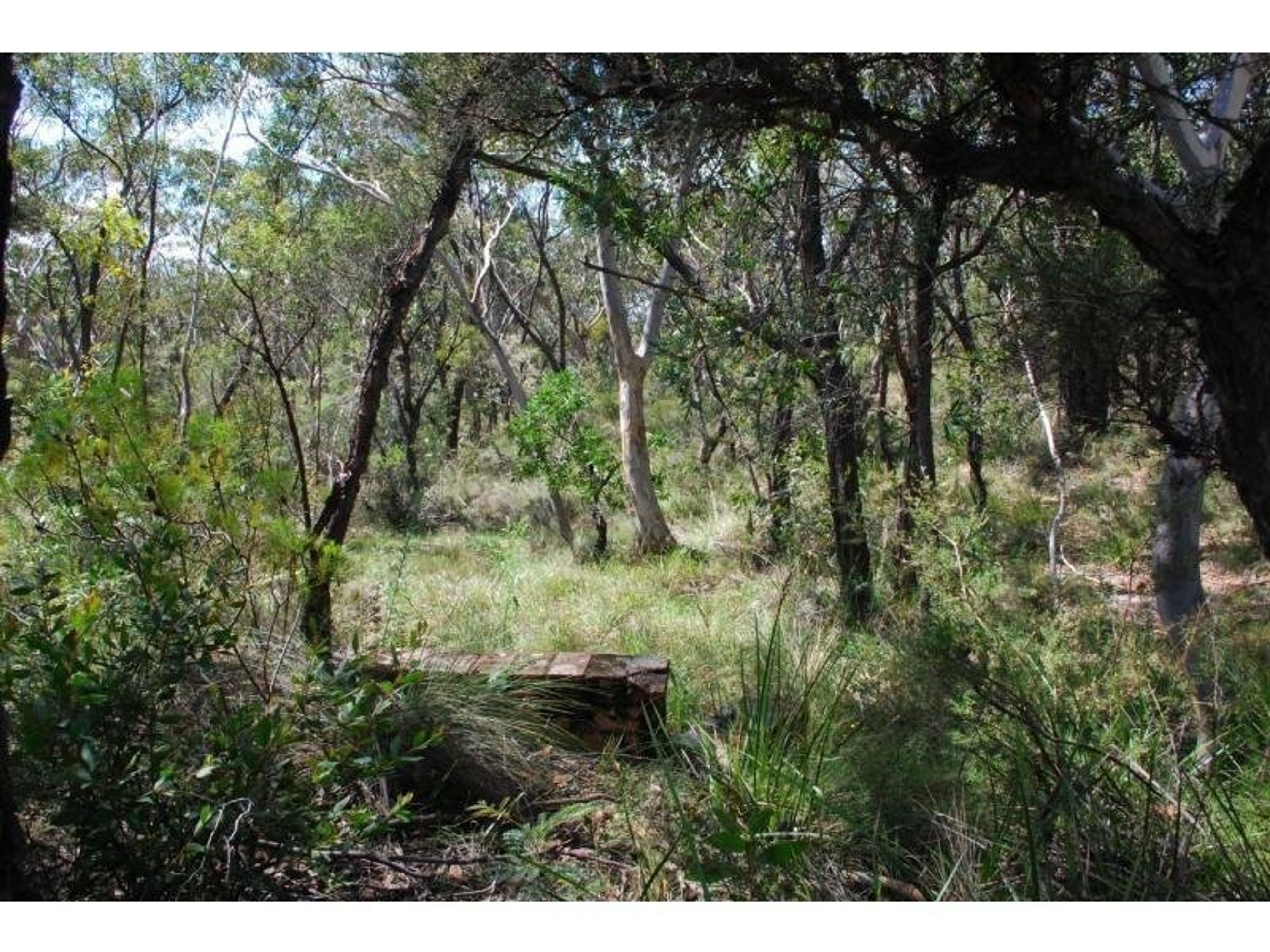 19-21 19-21 Redfern Street, Wentworth Falls - Thumbnail 2