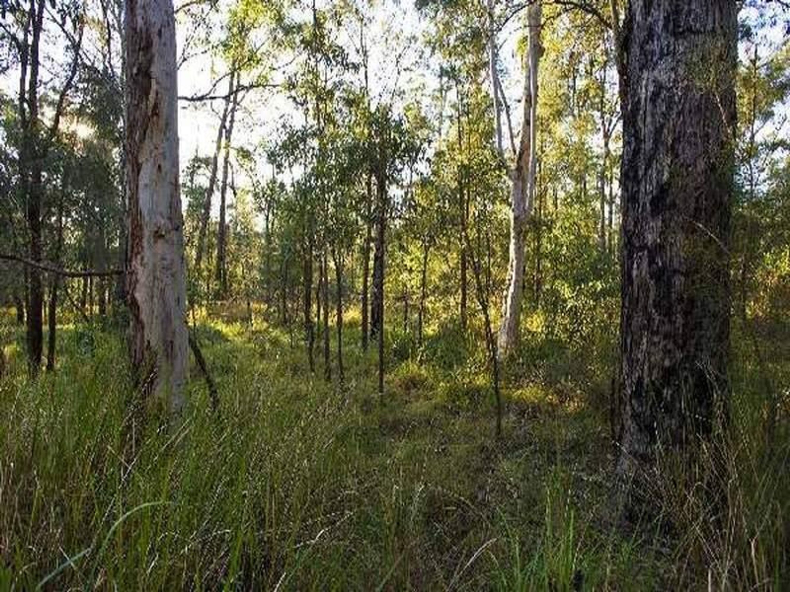 15 Luthers Road, Halfway Creek - Thumbnail 5
