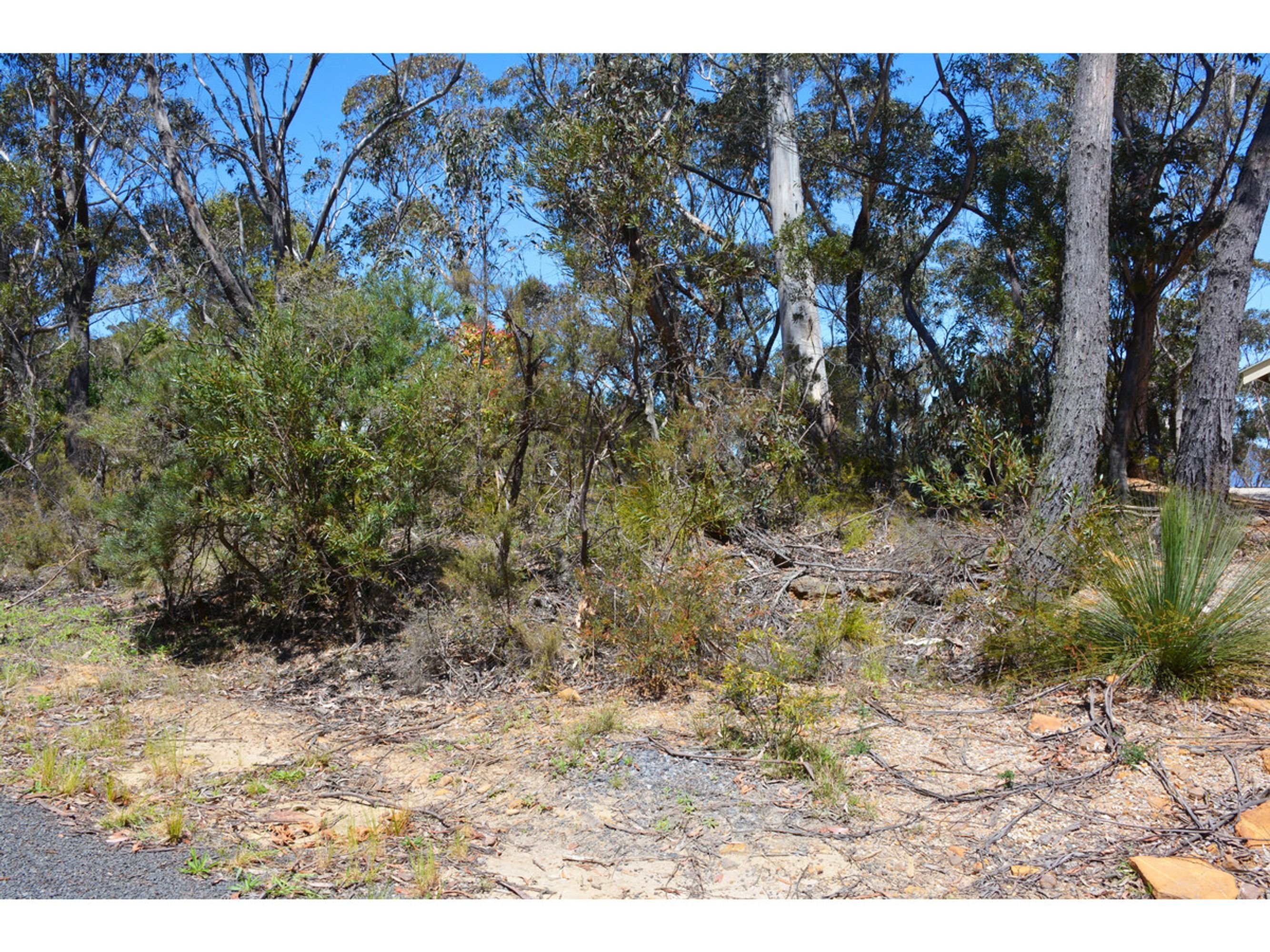 31 Foy Avenue, Medlow Bath - Thumbnail 3