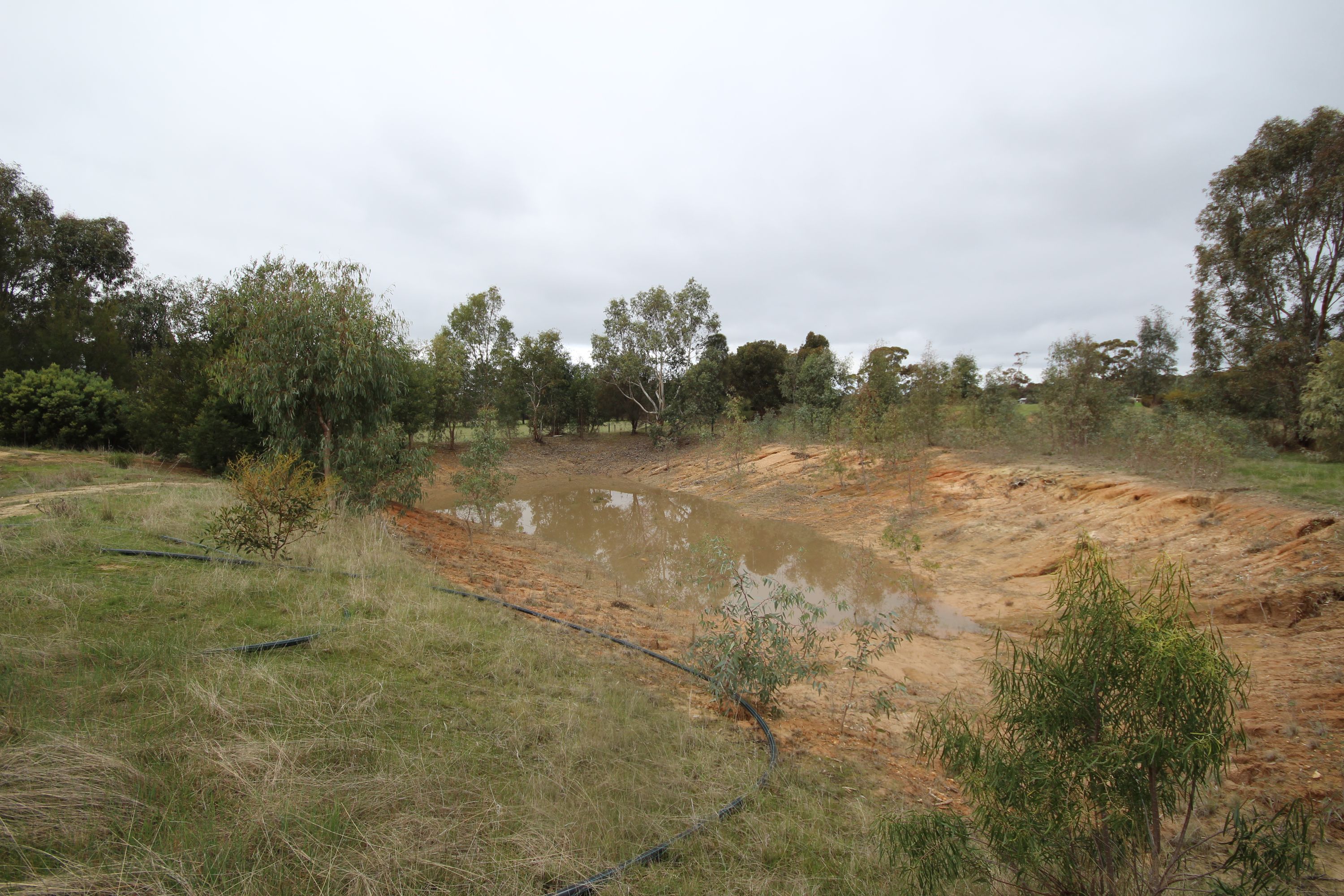 98 Murray Road, Carapooee VIC 3477, Carapooee - Thumbnail 3