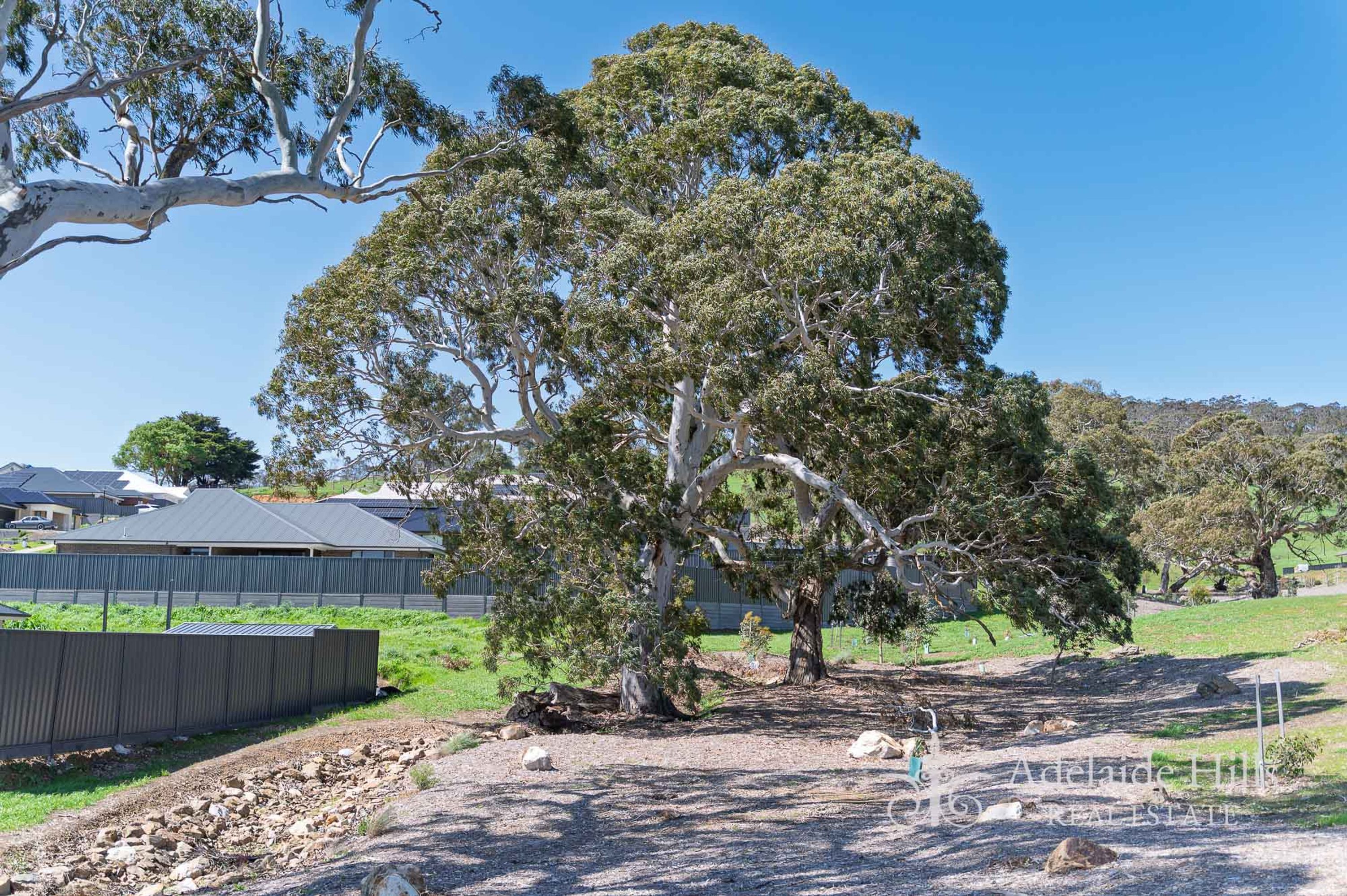 22 Discovery Circuit, Meadows SA 5201, Meadows - Thumbnail 7