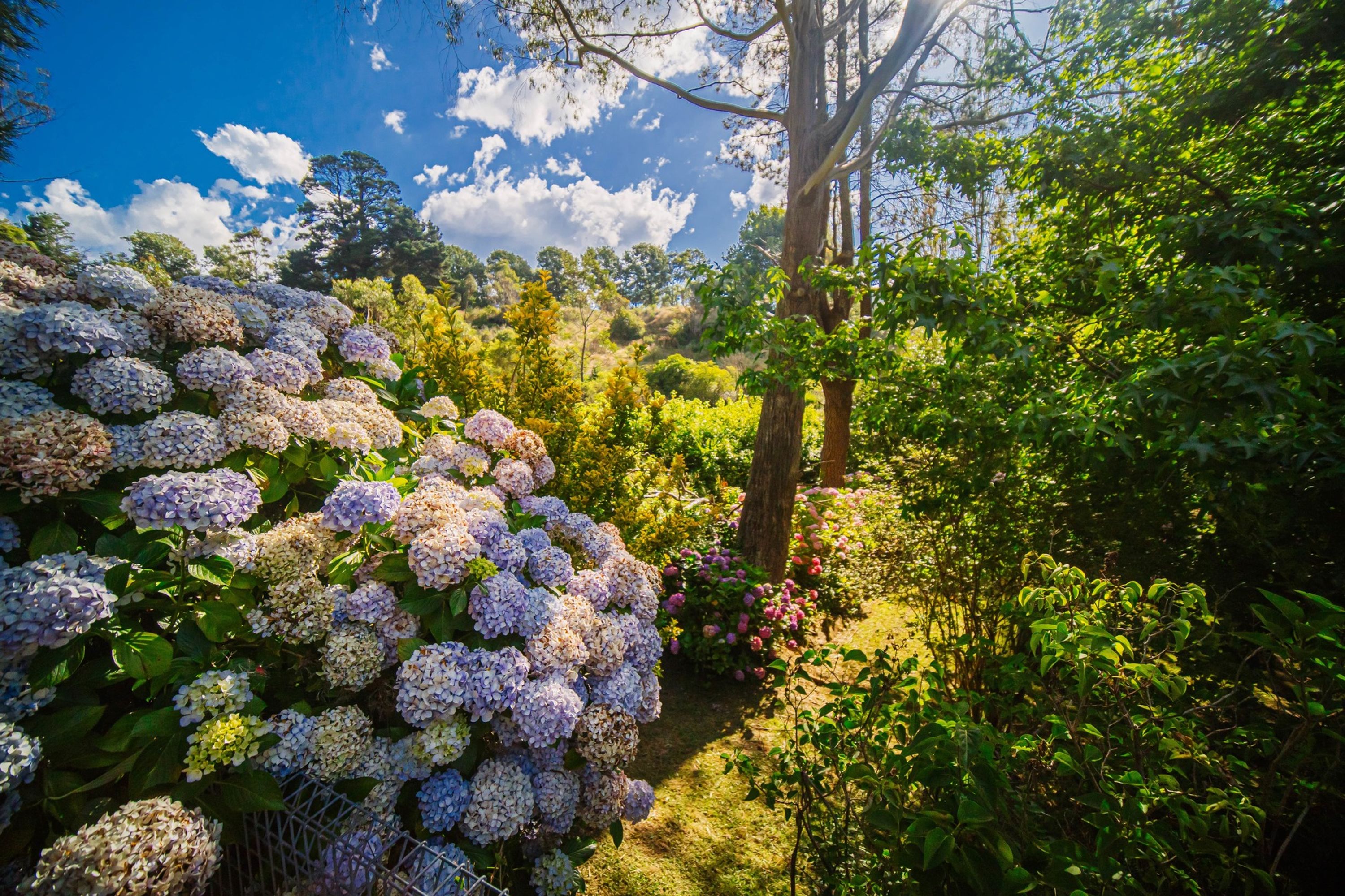5 Freelander Avenue, Katoomba - Thumbnail 8