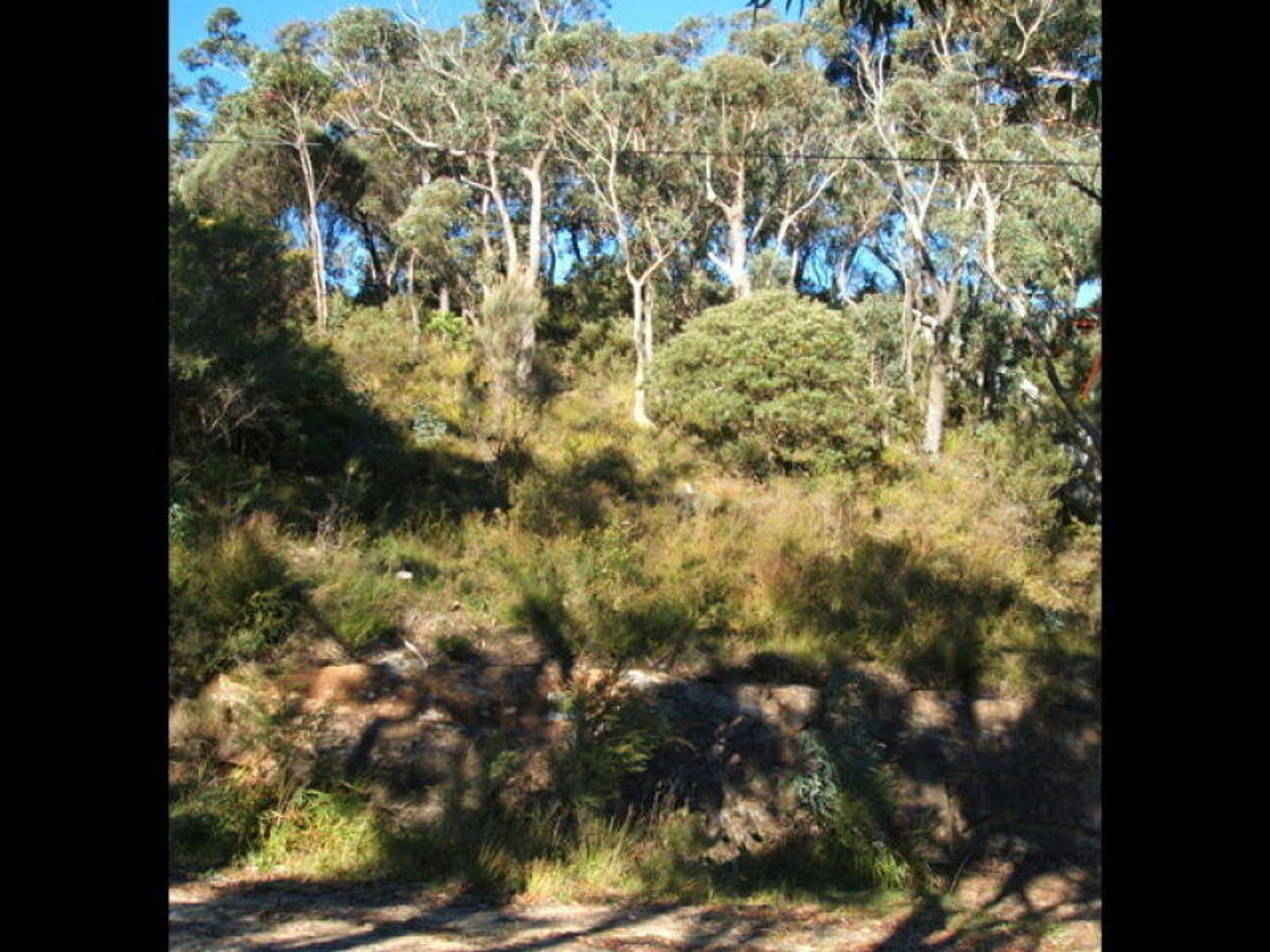 34 Narrow Neck Road, Katoomba - Thumbnail 3