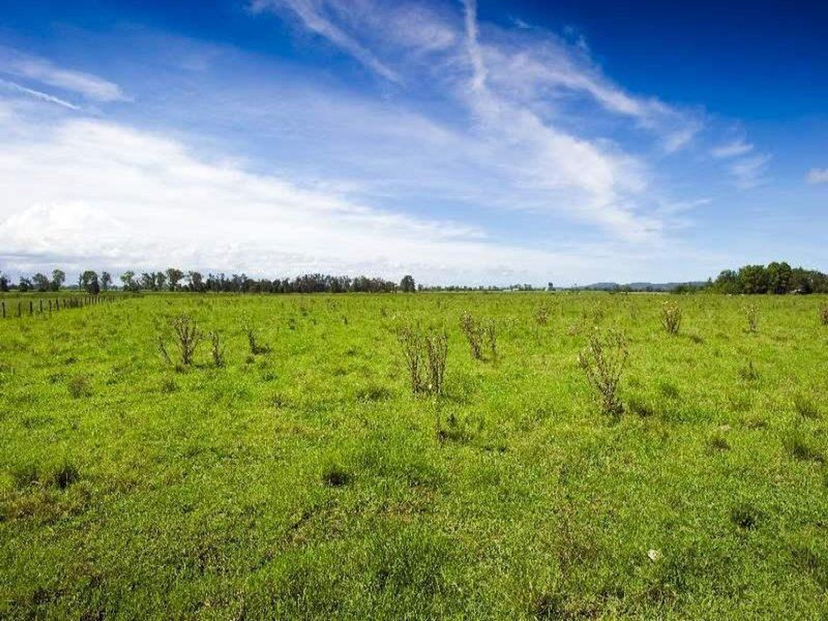 434 Lower Coldstream Road, Coldstream - Thumbnail 7