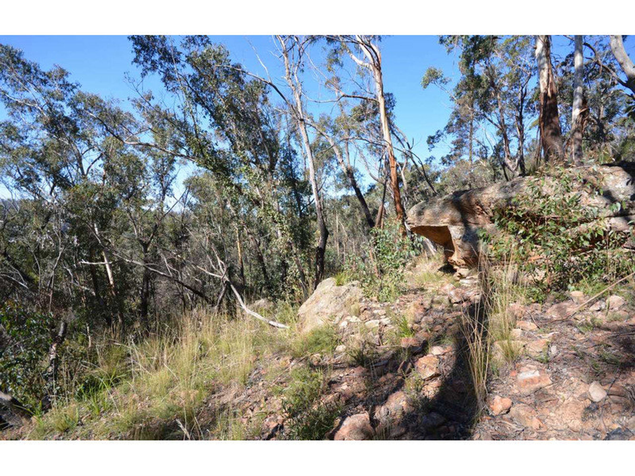 9 Balmoral Road, Mount Victoria - Thumbnail 3