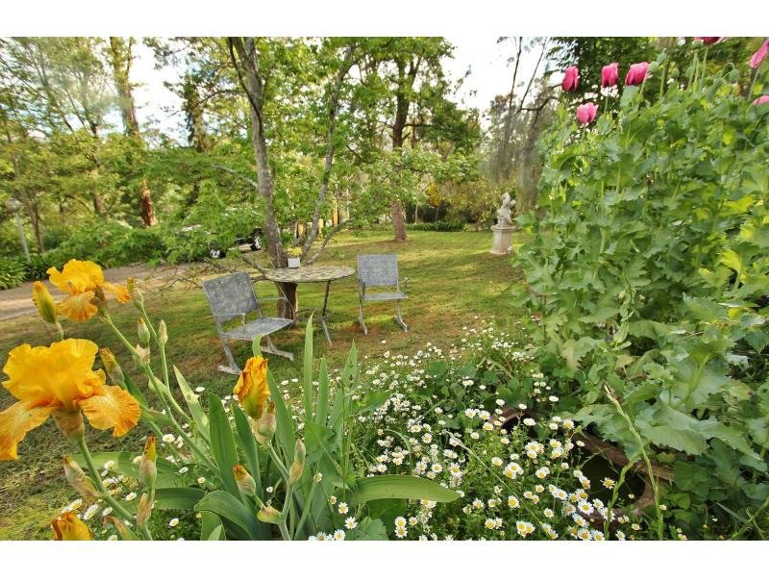21 William Street, Springton, SA 5235, Springton - Thumbnail 3