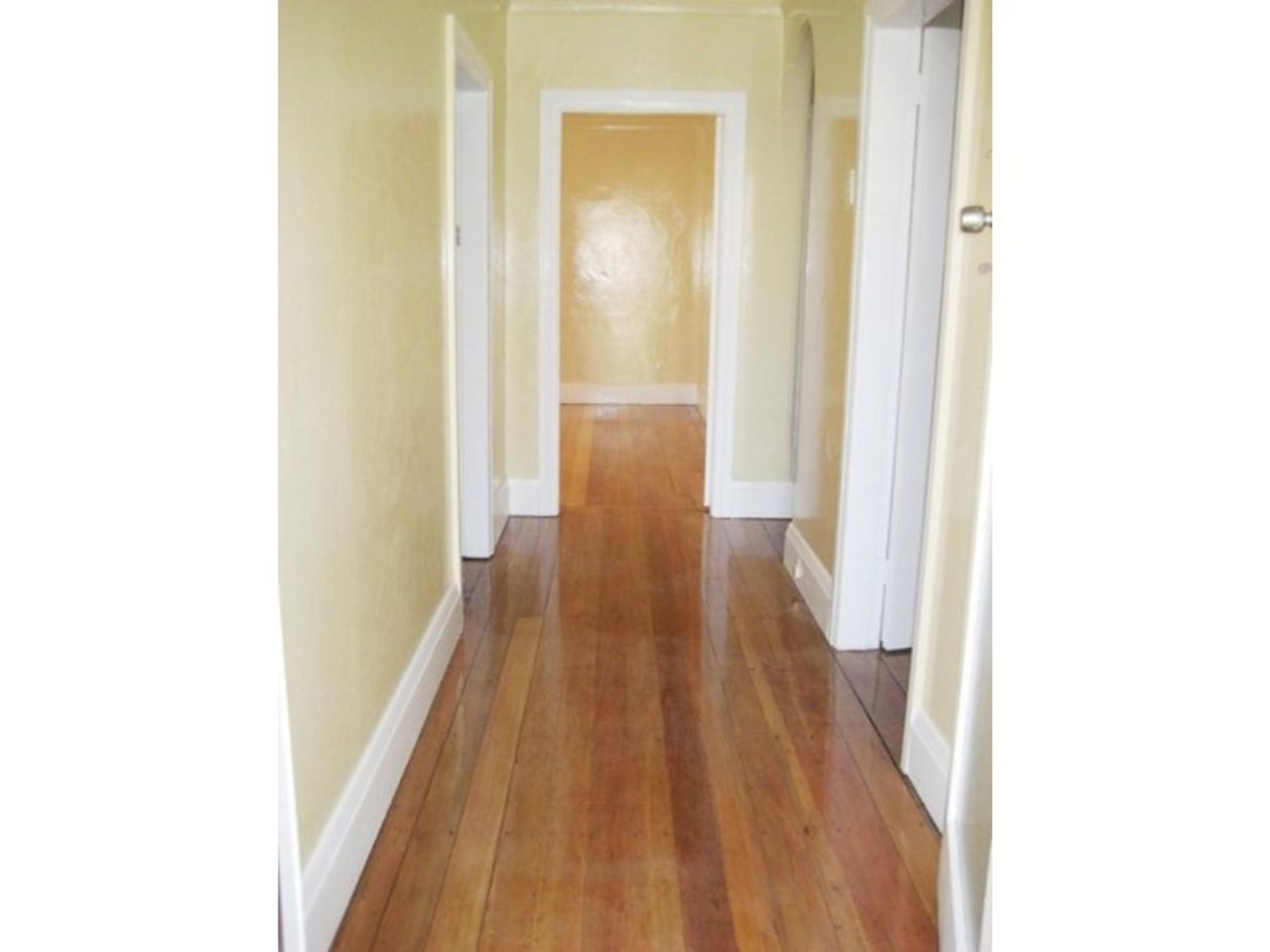 1 Sackville St, Bardwell Valley, Bardwell Valley - Thumbnail 4
