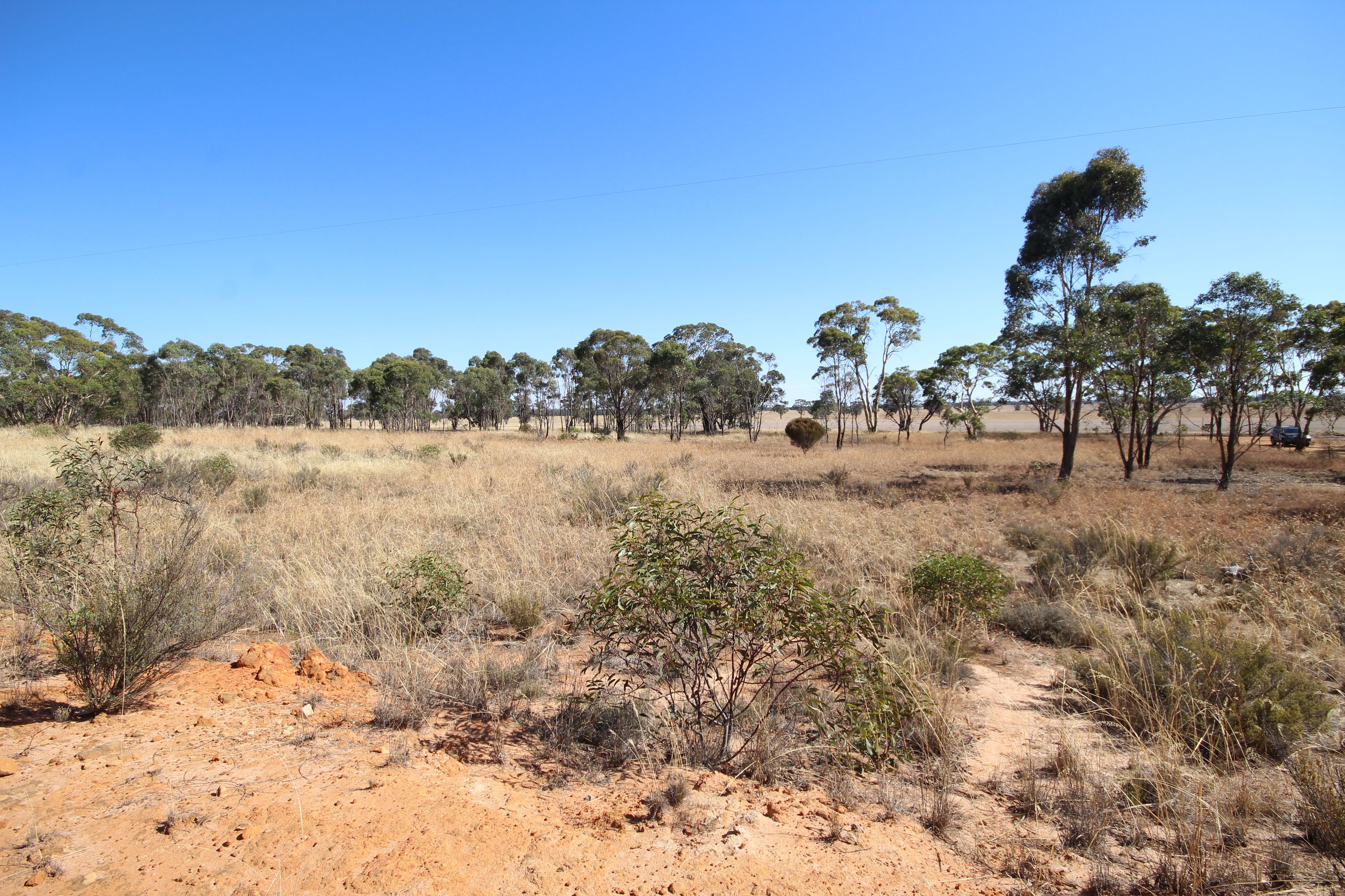 Lot 2 Mitre Road, Nurcoung VIC 3401, Nurcoung - Thumbnail 4