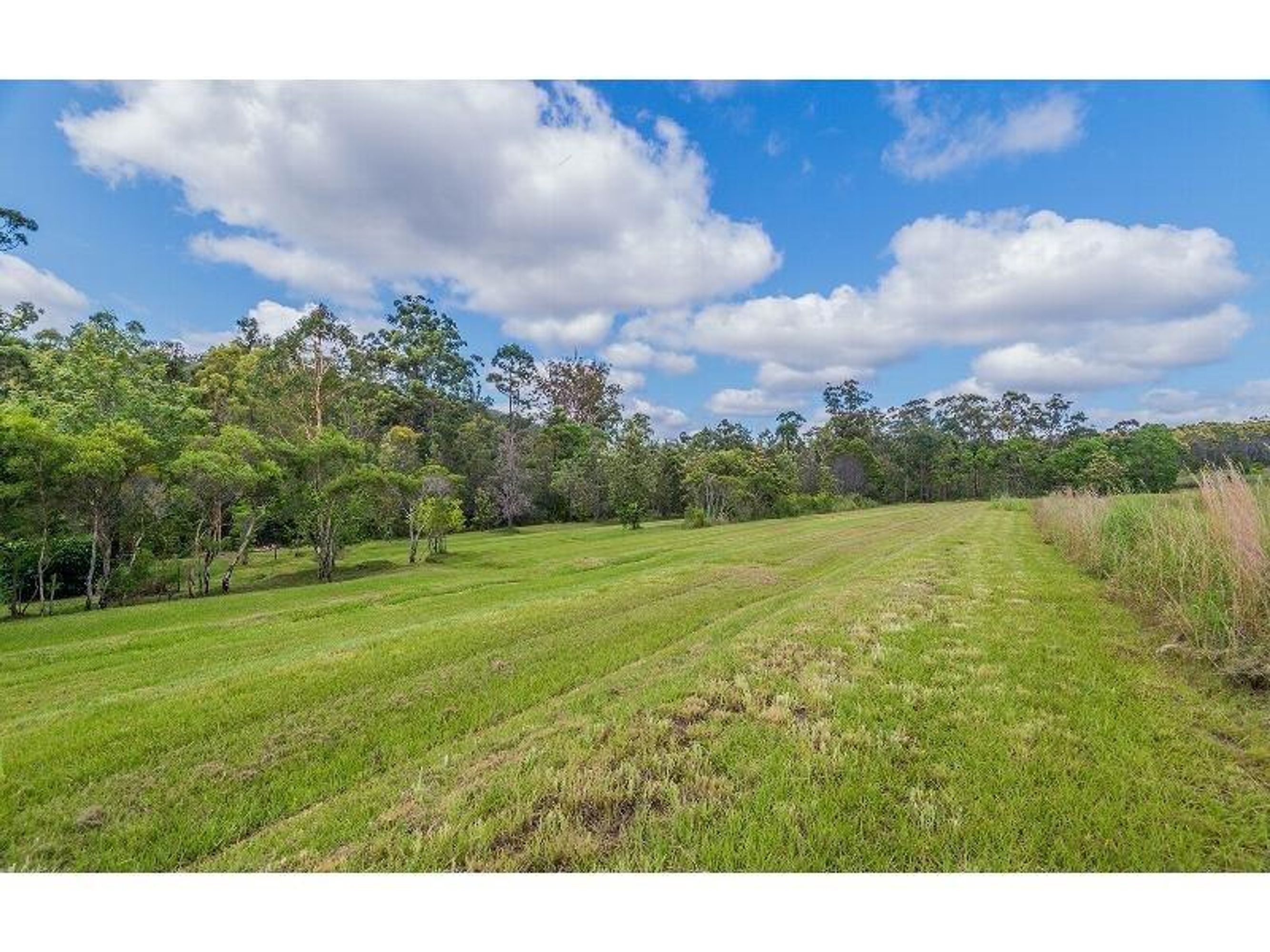 775 Parker Road, Lanitza - Thumbnail 5