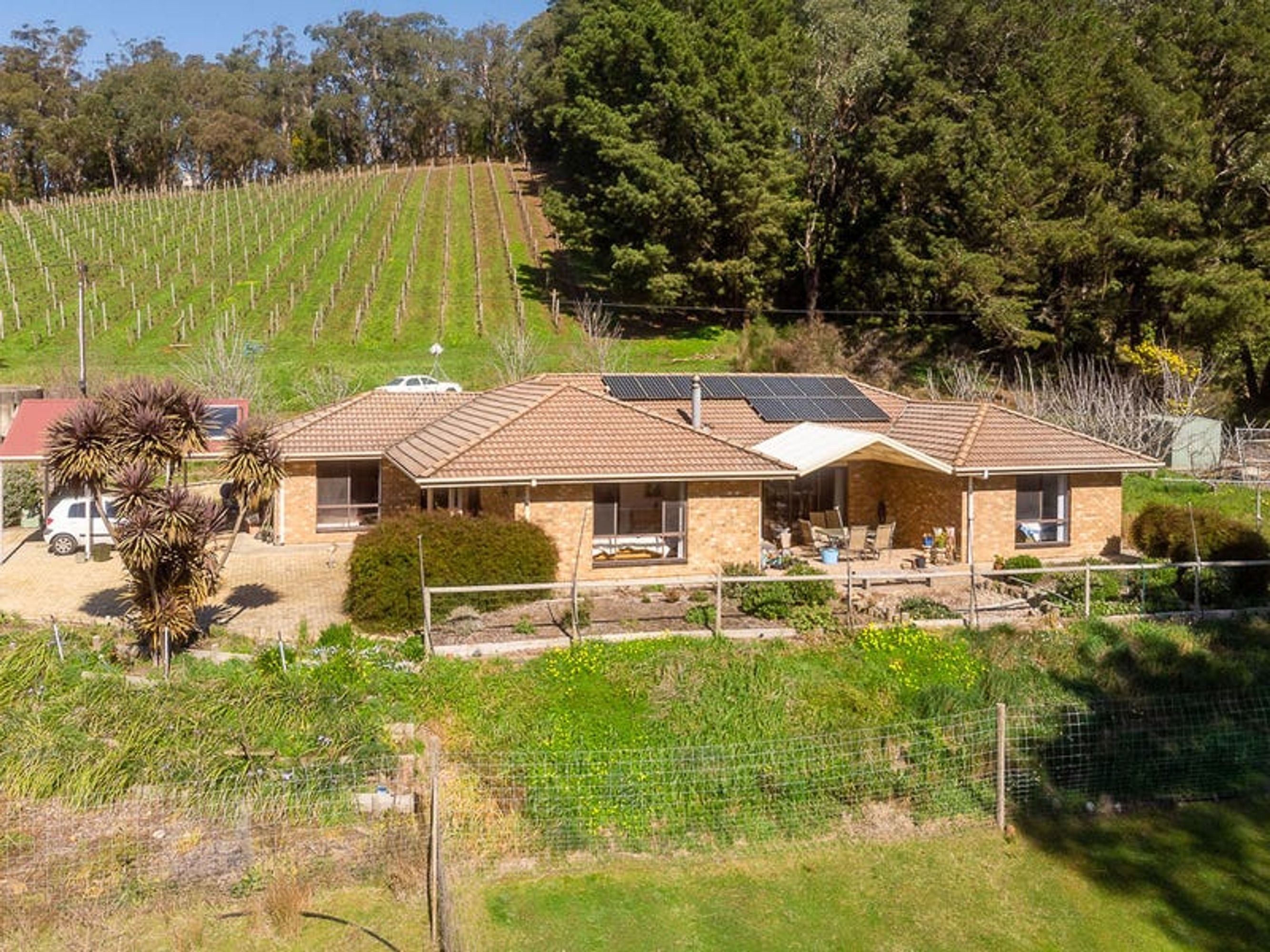 109B Coldstore Rd, Lenswood, SA 5240, Lenswood - Thumbnail 2