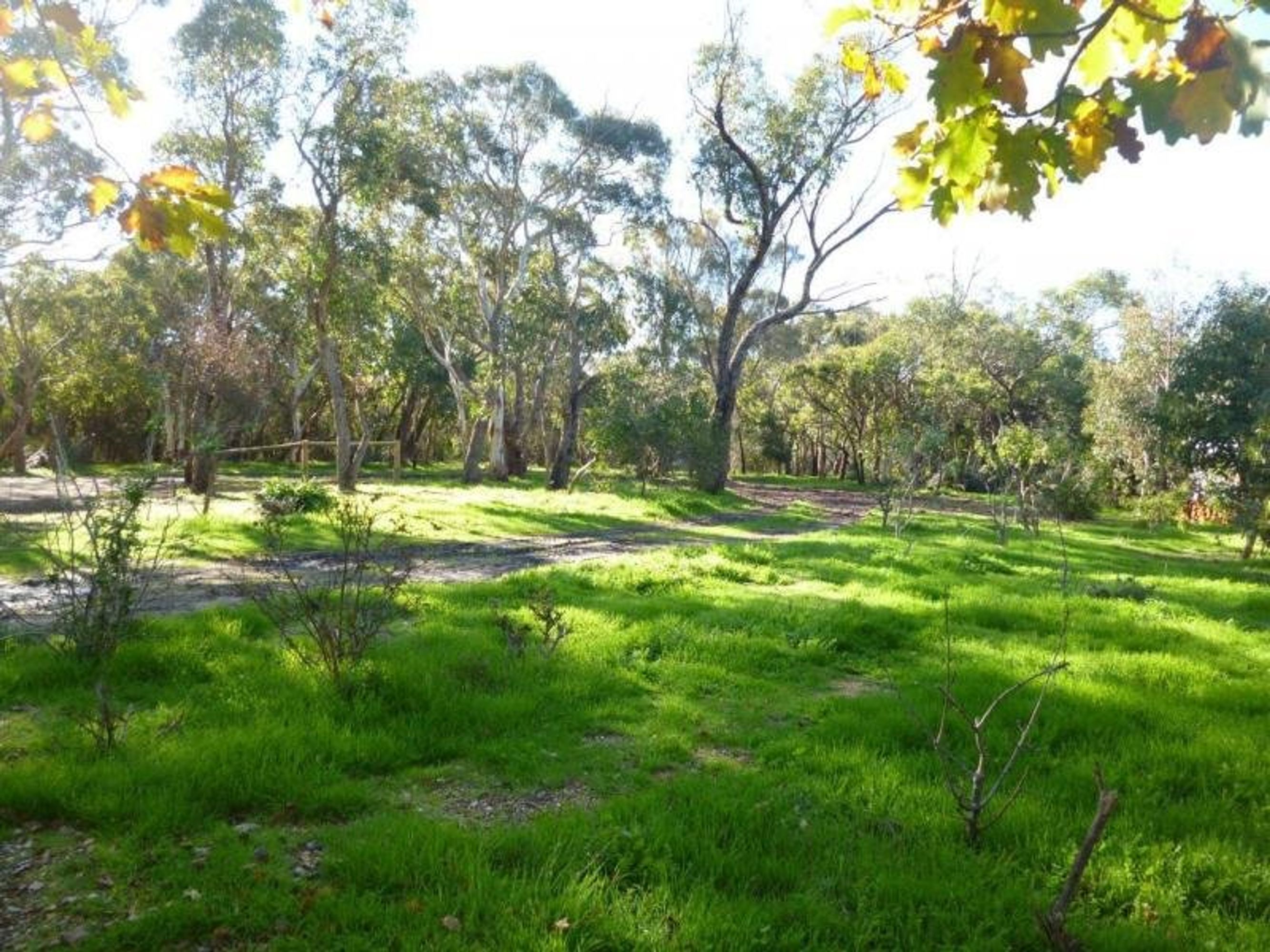 6/19 Davis Road, Macclesfield SA 5153, Macclesfield - Thumbnail 4