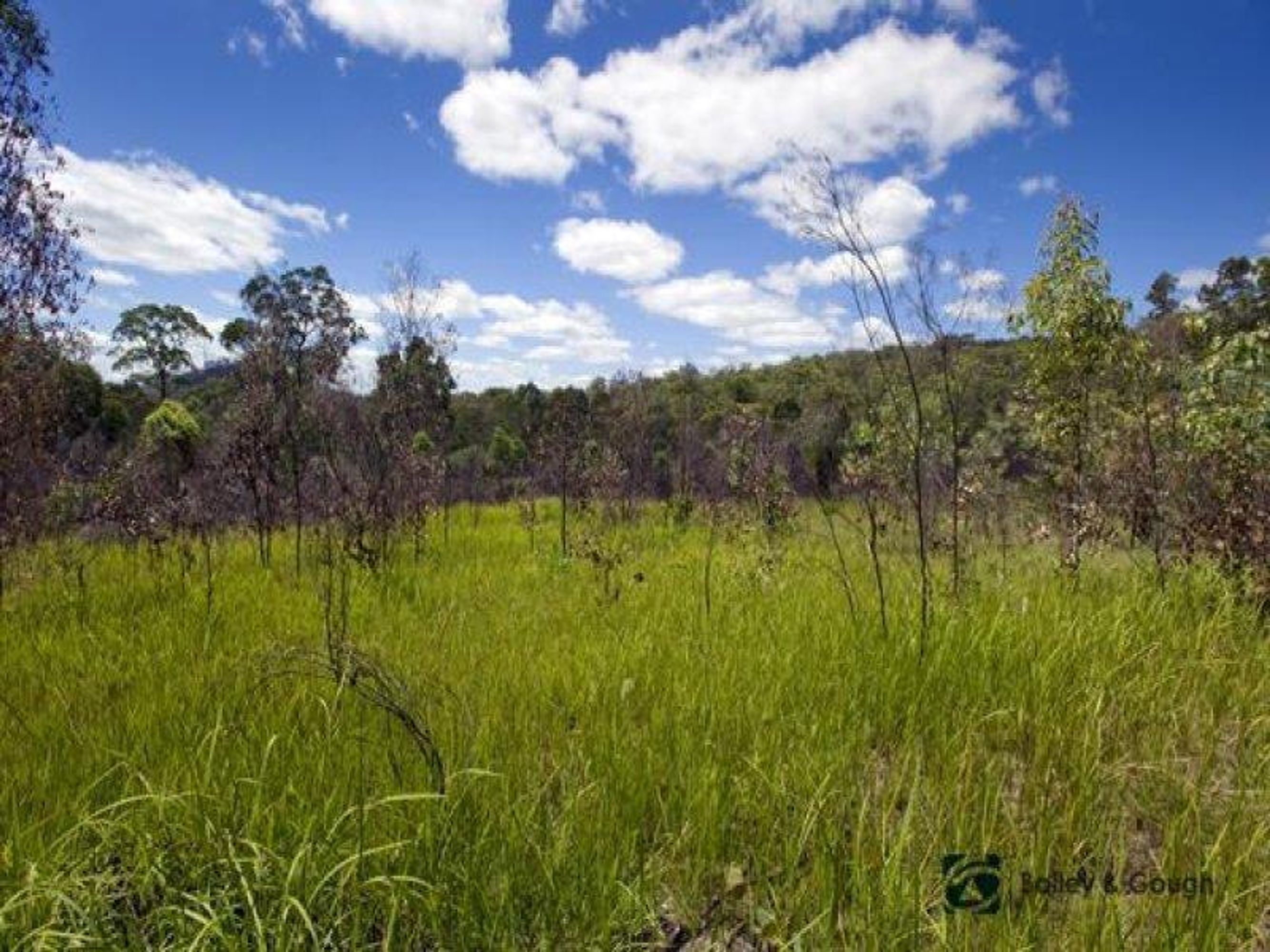 553 Rockview Road, Chambigne - Thumbnail 6