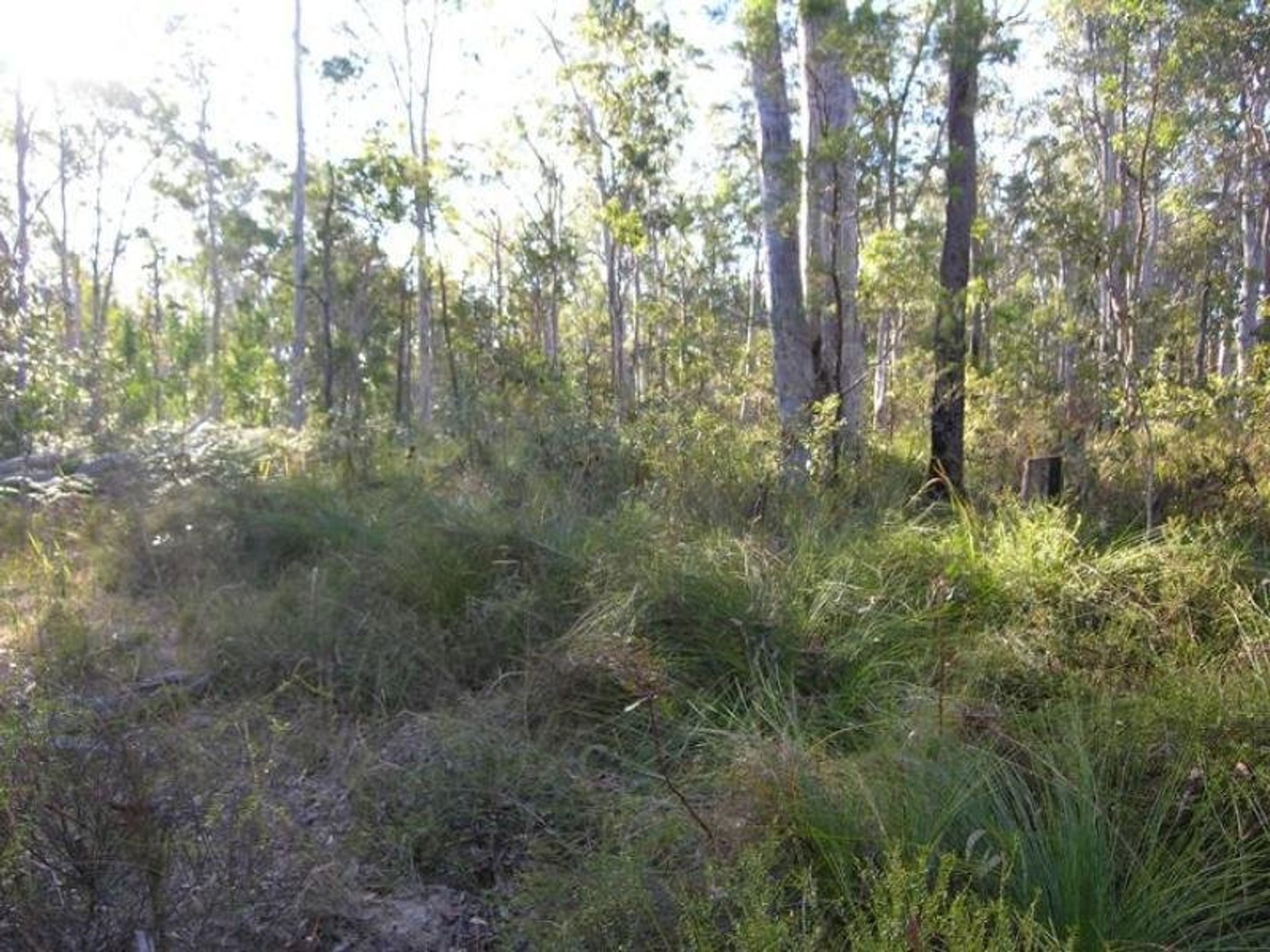 Lot 43/Lot 43/43 Burragan Road, Kangaroo Creek - Thumbnail 5