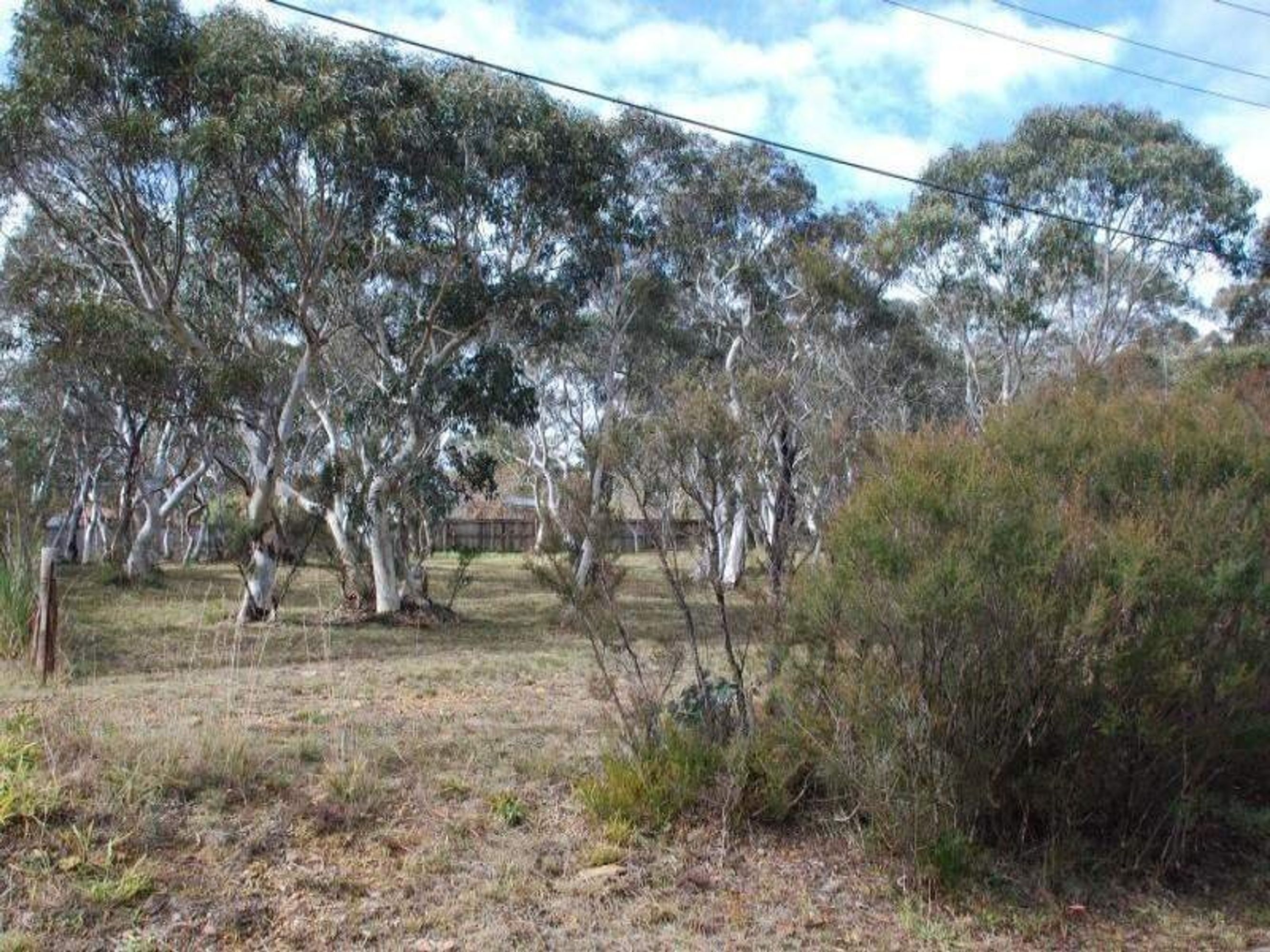 21 First Avenue, Katoomba - Thumbnail 4