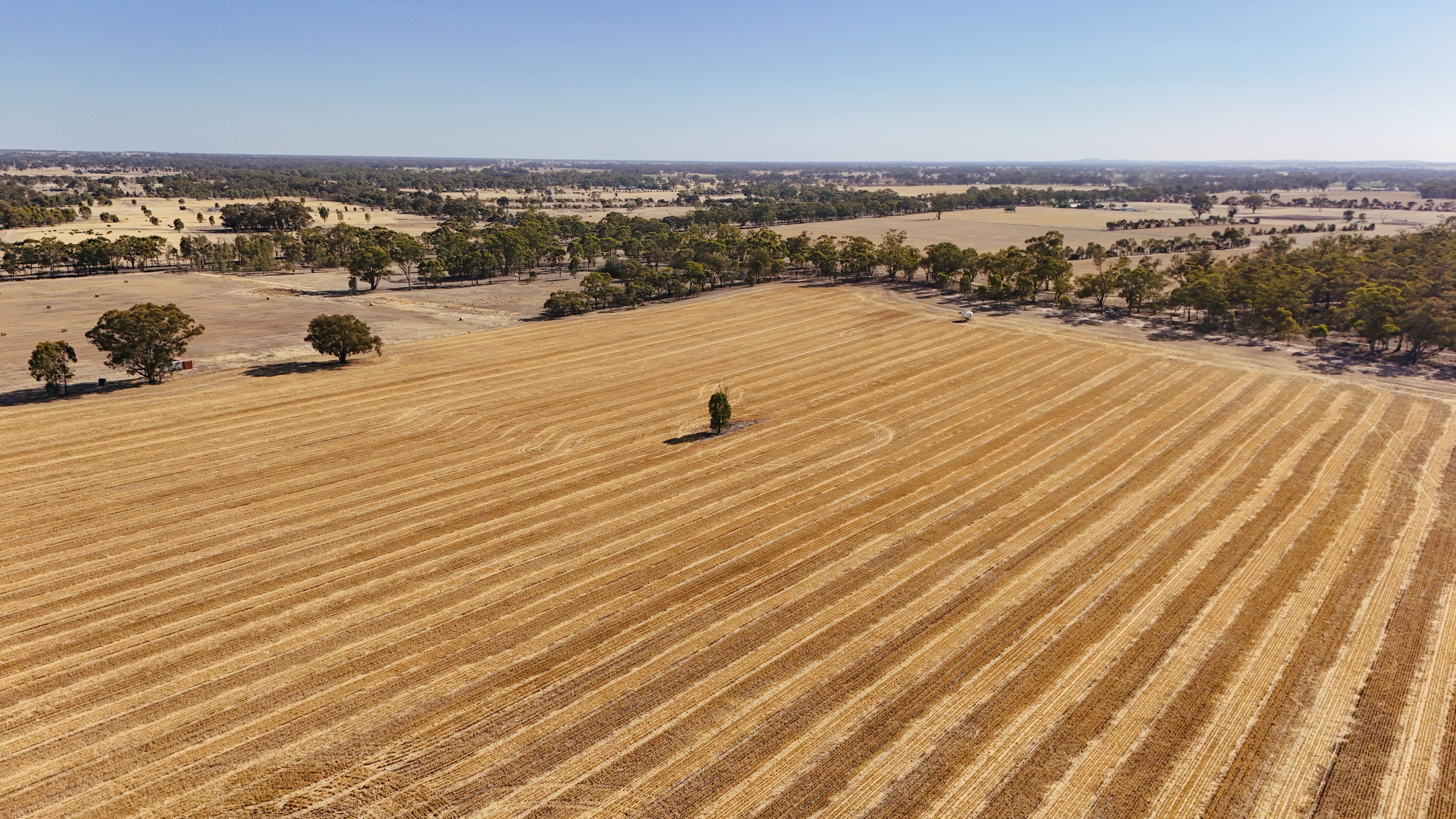 99 Winzar Lane, Goornong, Goornong - Thumbnail 7