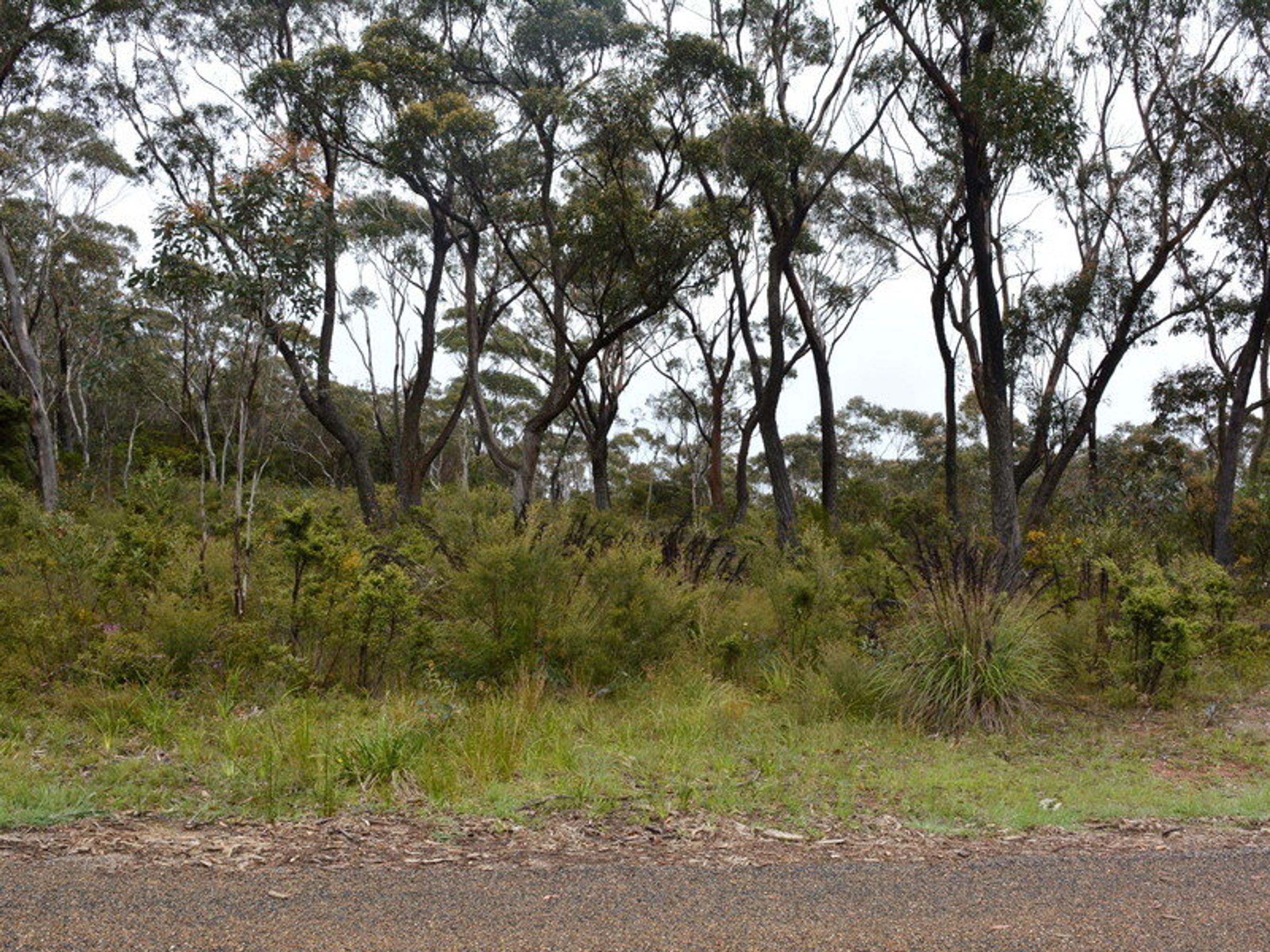 41 Foy Avenue, Medlow Bath - Thumbnail 2
