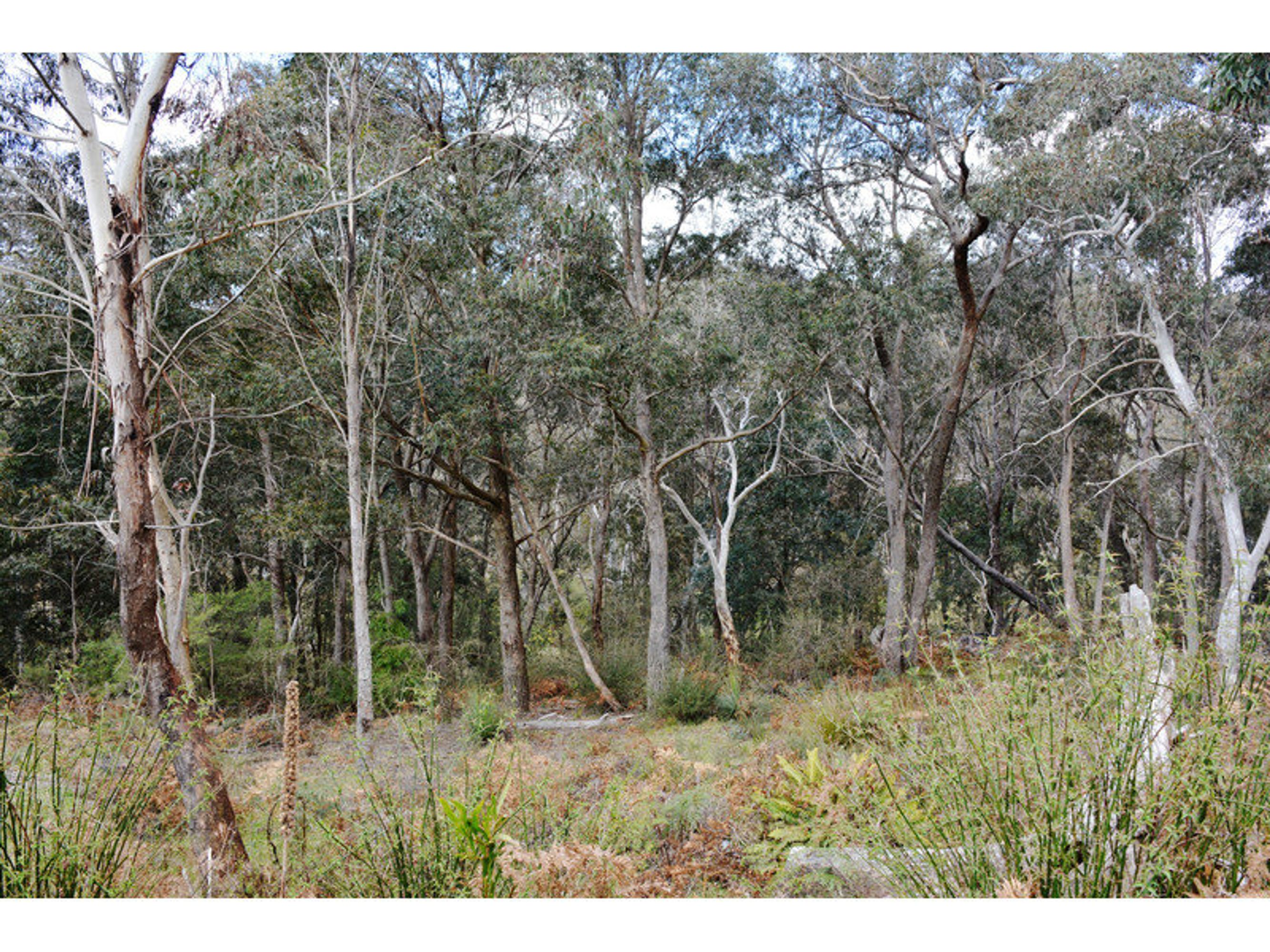 83 Seventh Avenue, Katoomba - Thumbnail 3