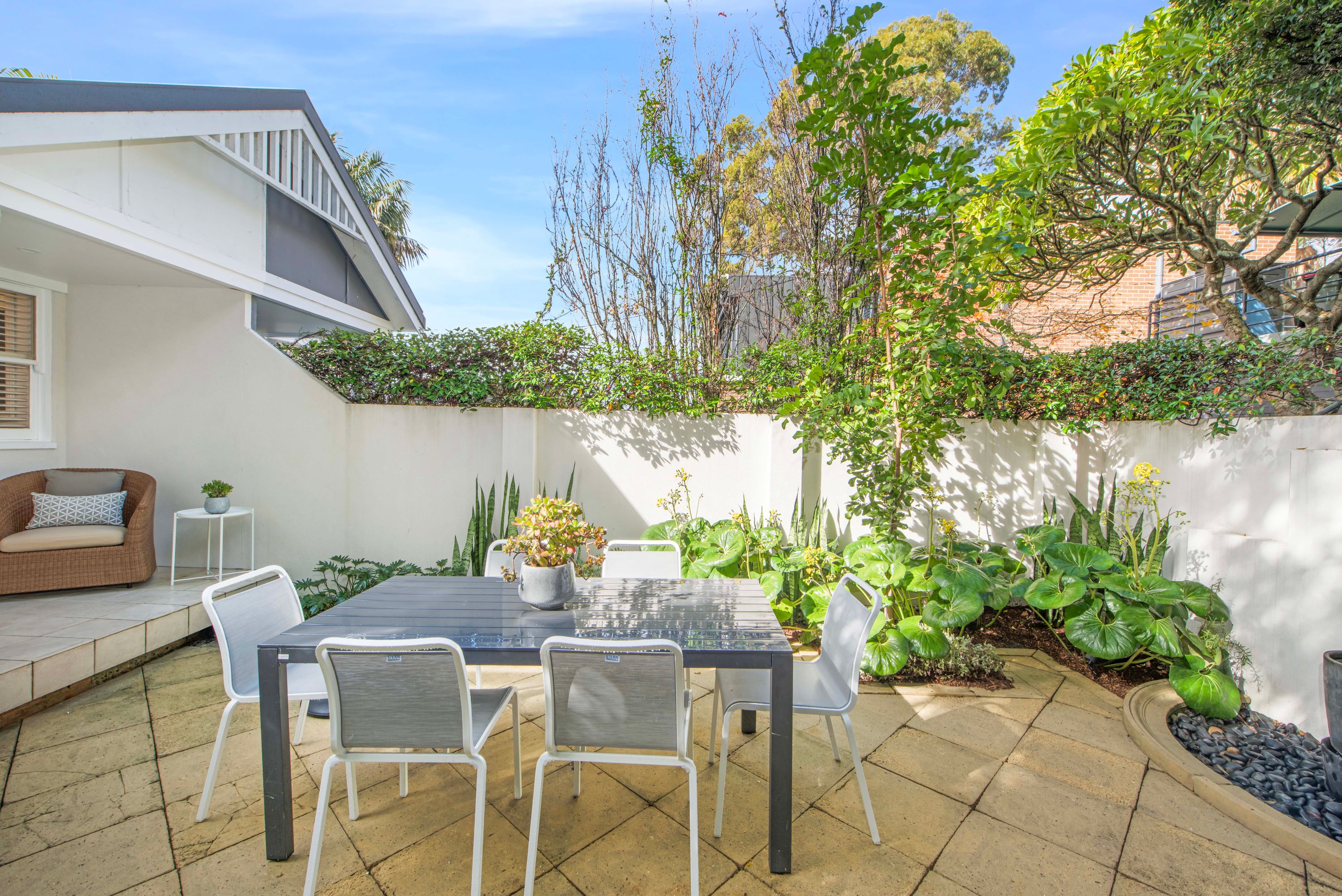 49 Pine Street, Cammeray - Thumbnail 6