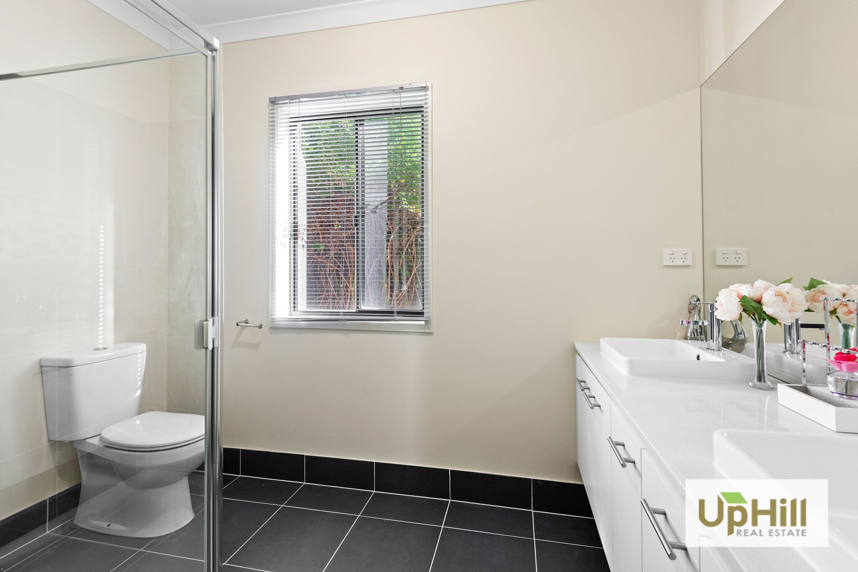 15 Pleven Rise, Clyde North - Thumbnail 4