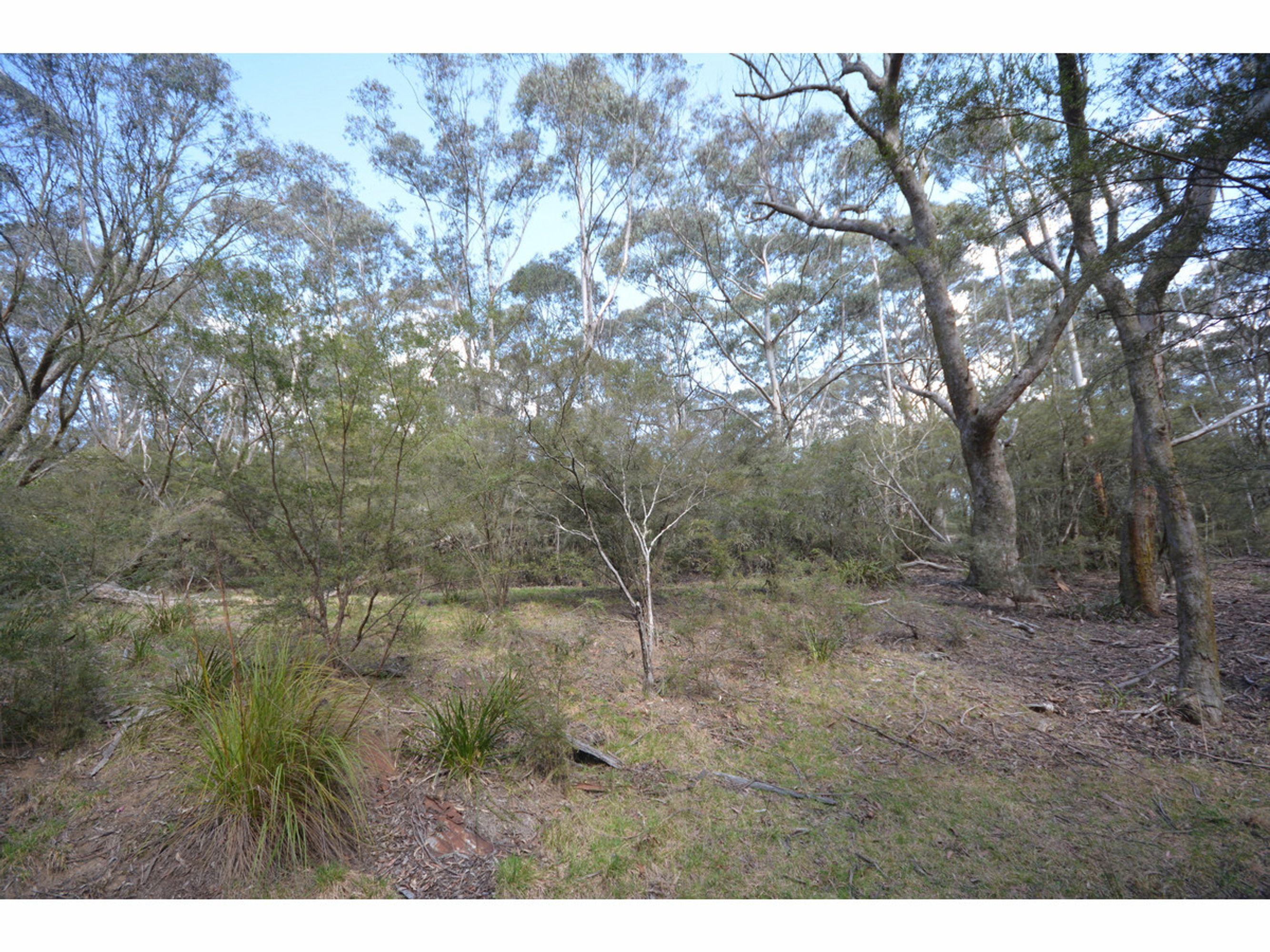 Rear of 55 Rear of 55 Farnells Road, Katoomba - Thumbnail 4