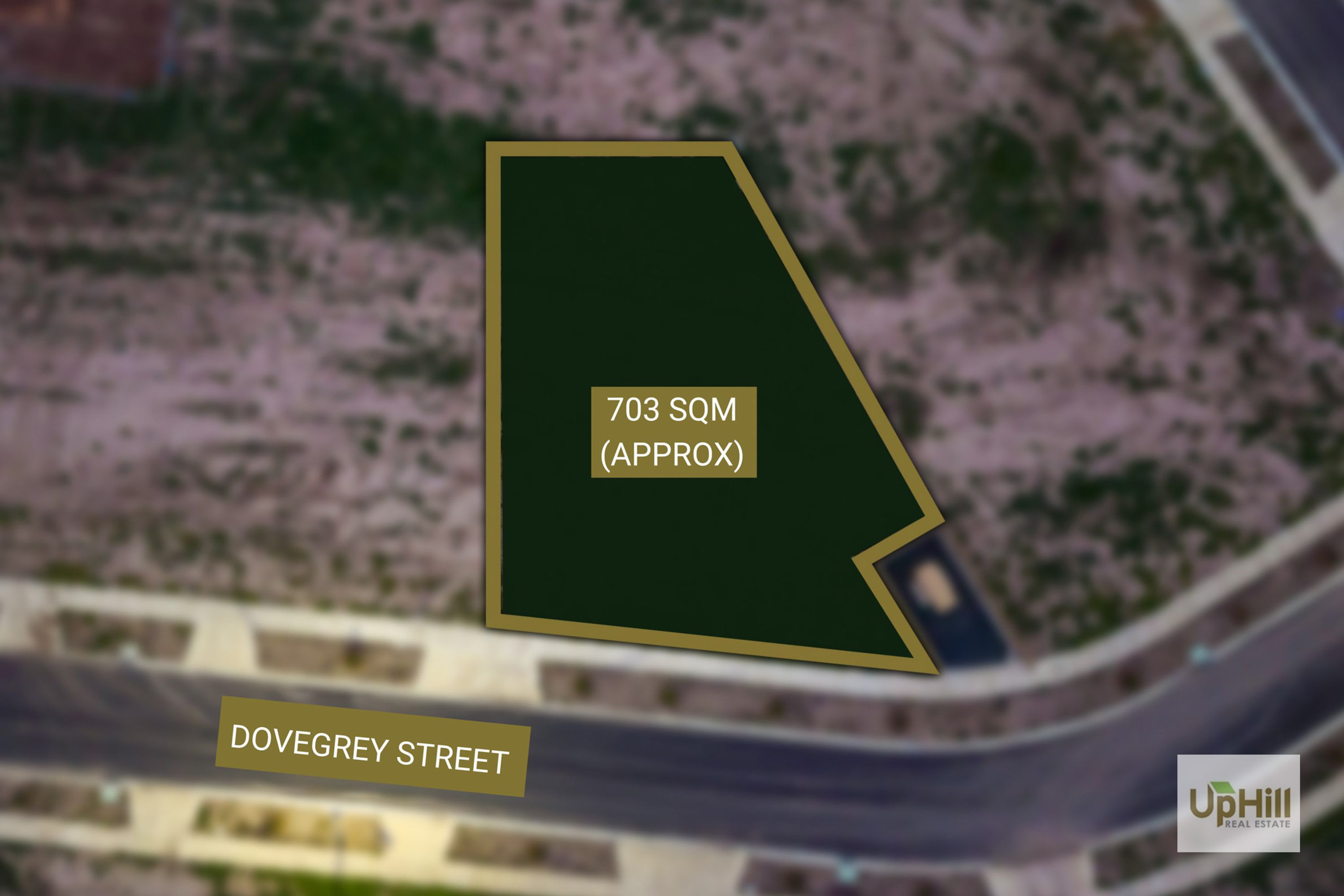 6 Dovegrey Street, Clyde North - Thumbnail 6