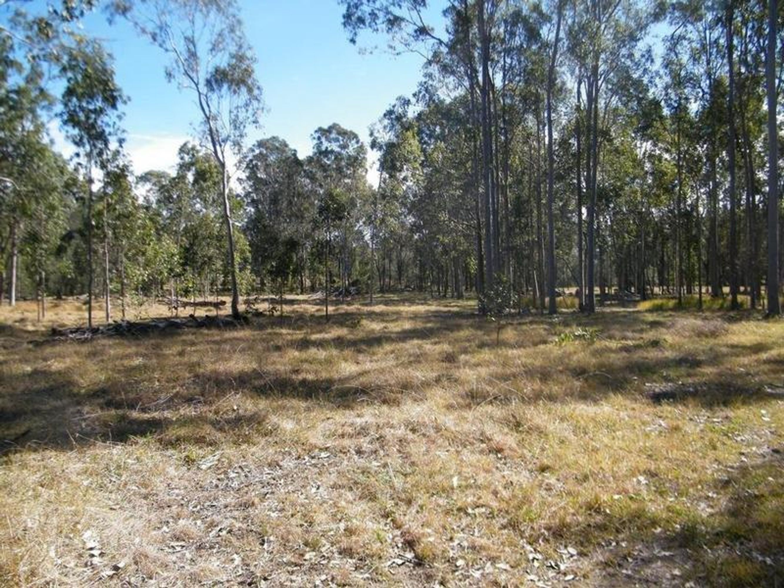 105 Casson Creek Road, Lavadia - Thumbnail 6