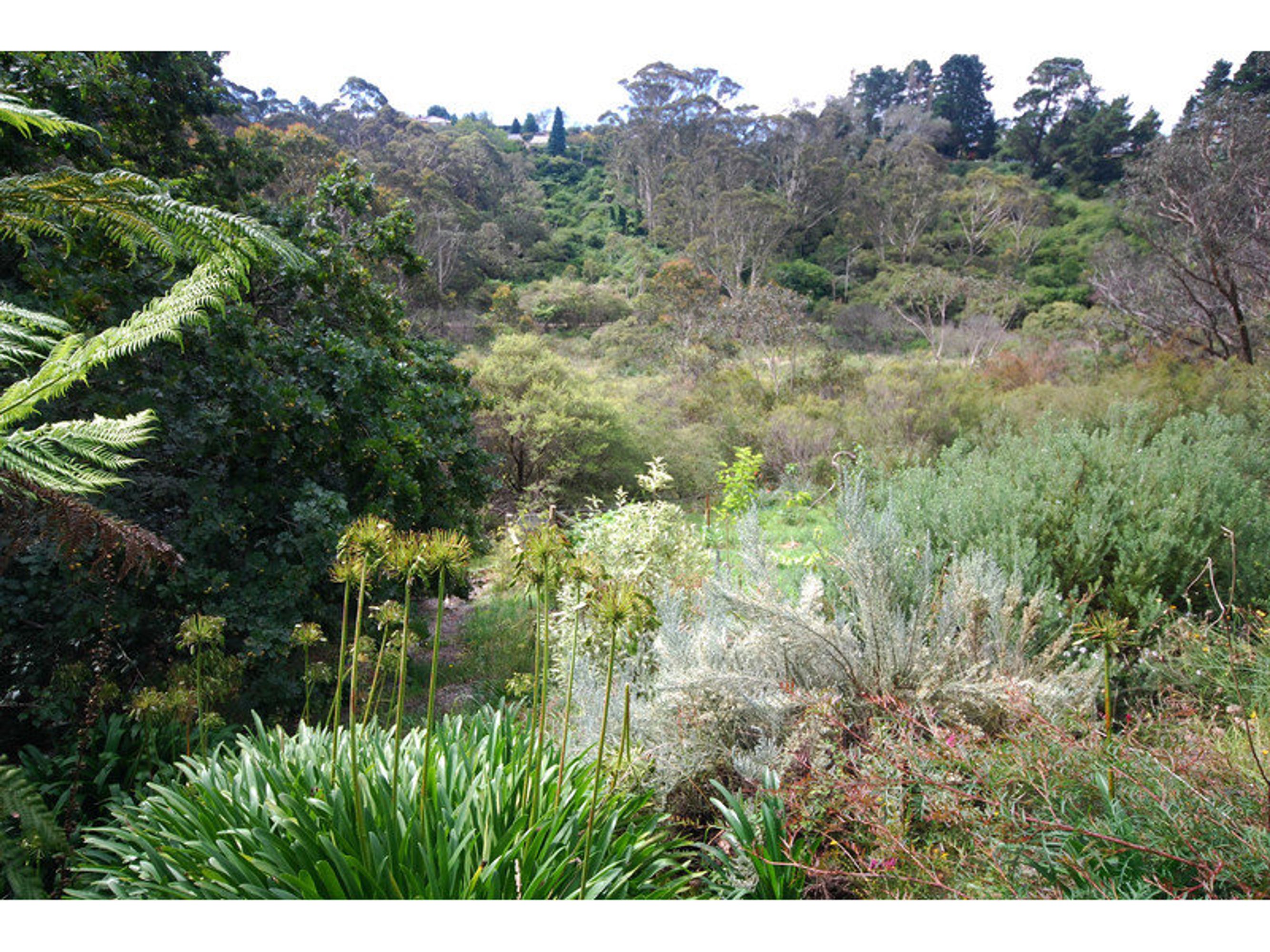 19 Murri Street, Katoomba - Thumbnail 4