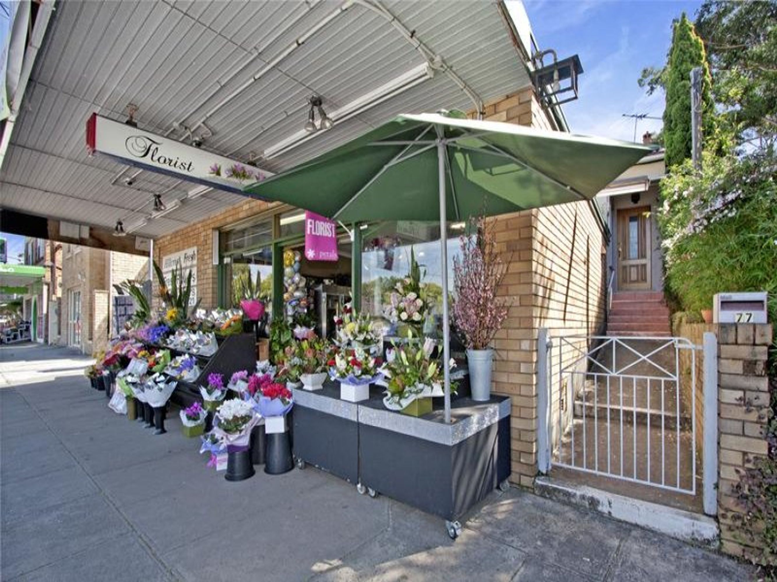 77 Hillcrest Ave, Hurstville Grove, Penshurst - Image 1