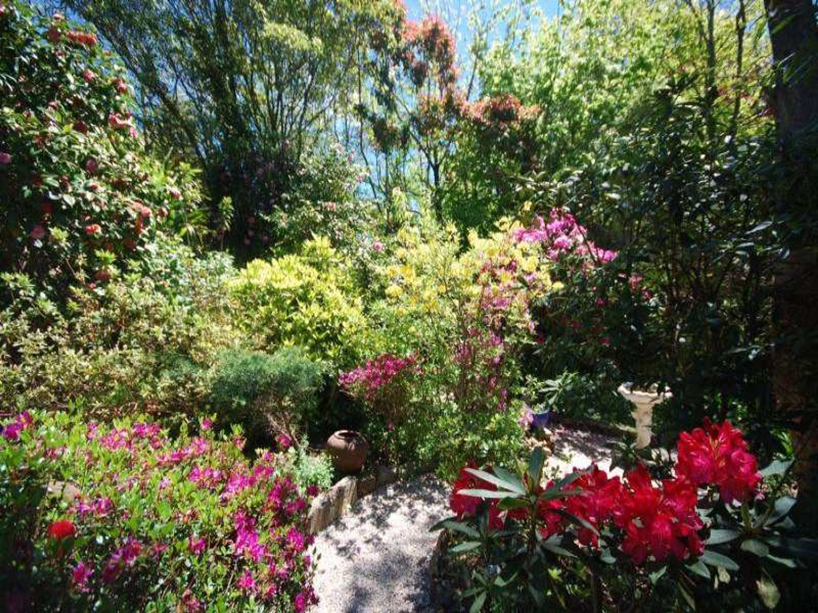 153 Blaxland Rd, Wentworth Falls - Thumbnail 2