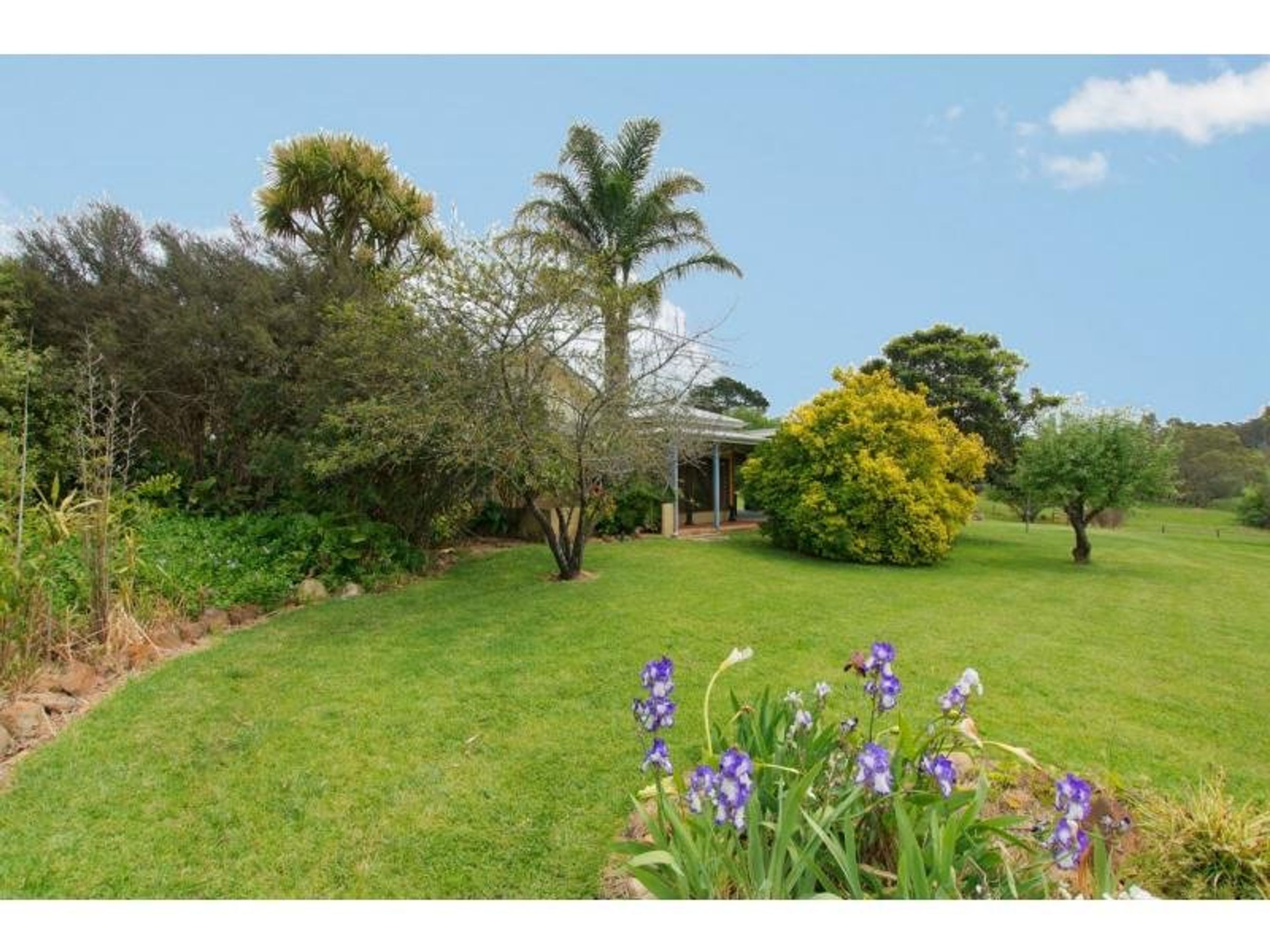 48 Hawthorn Road, Mount Barker, SA 5251, Mount Barker - Thumbnail 4