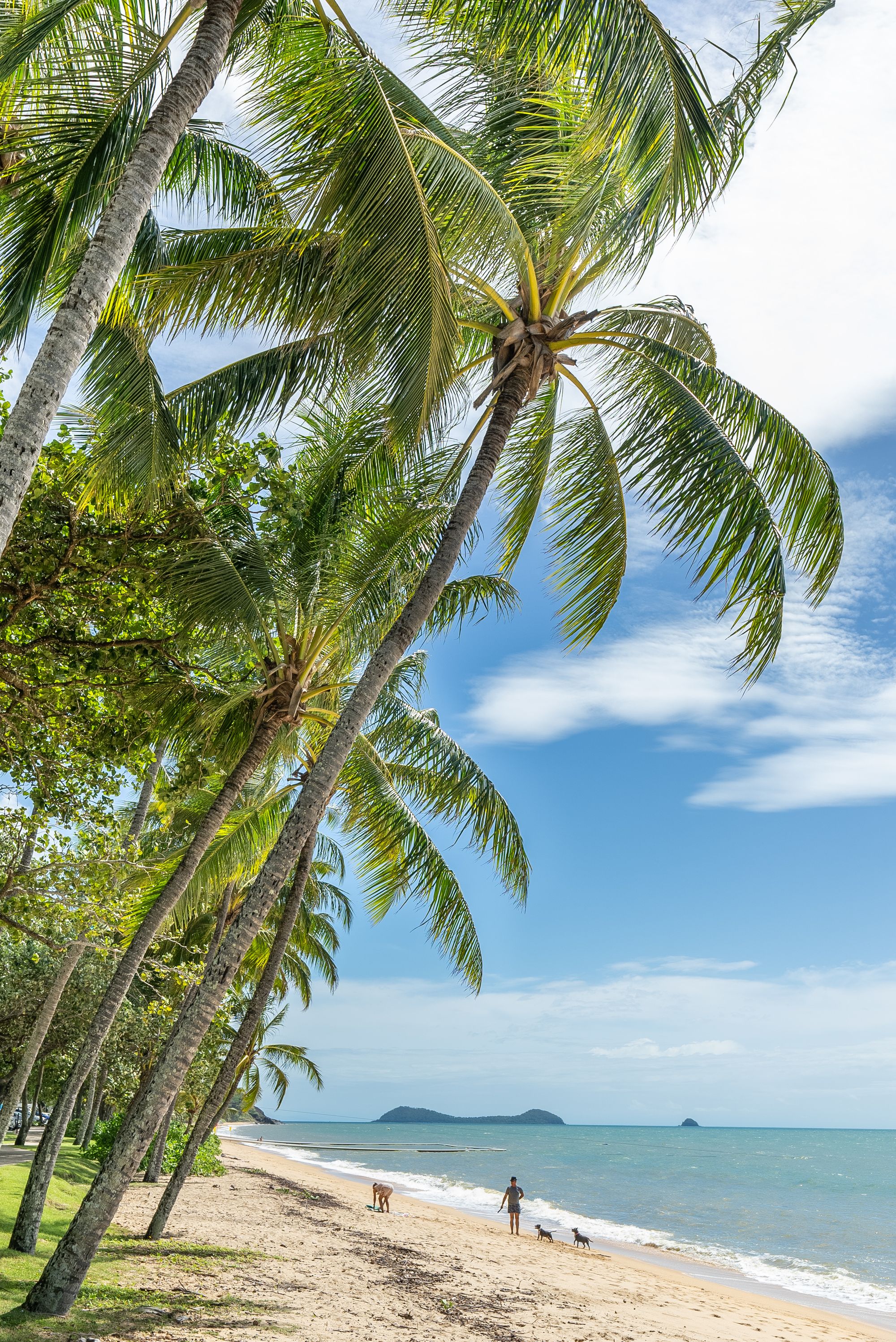 2/33 Petersen Street, Trinity Beach, QLD 4879, Trinity Beach - Thumbnail 8