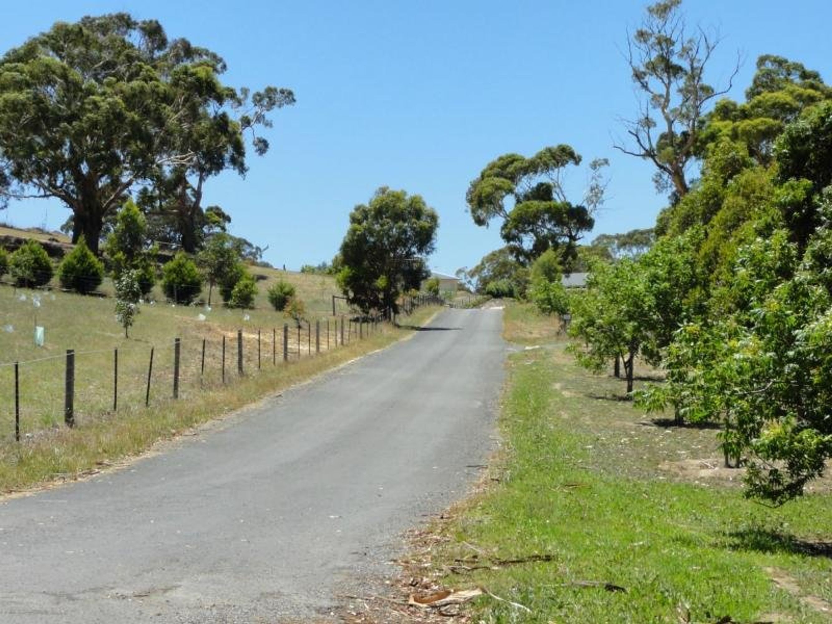 Lot 42 Wyndham Court, Blakiston, SA 5250, Blakiston - Thumbnail 6