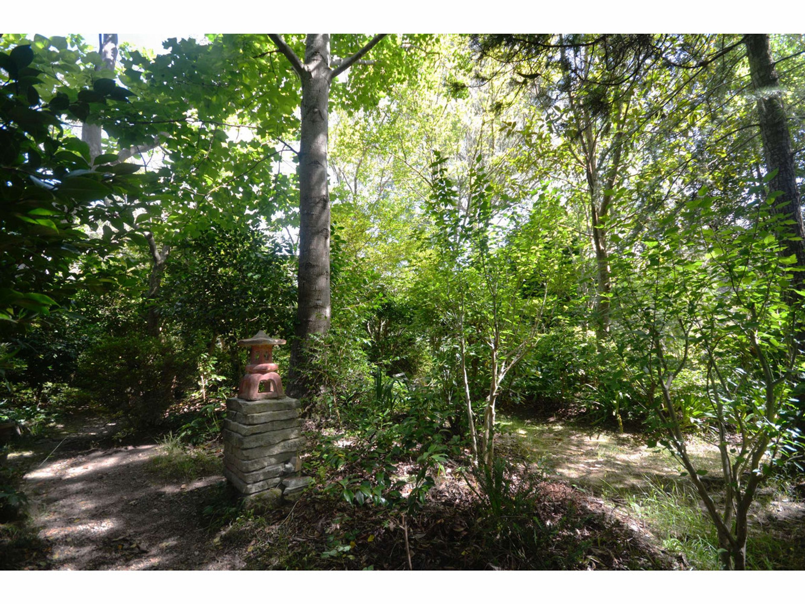 54 Rawson Parade, Leura - Thumbnail 7