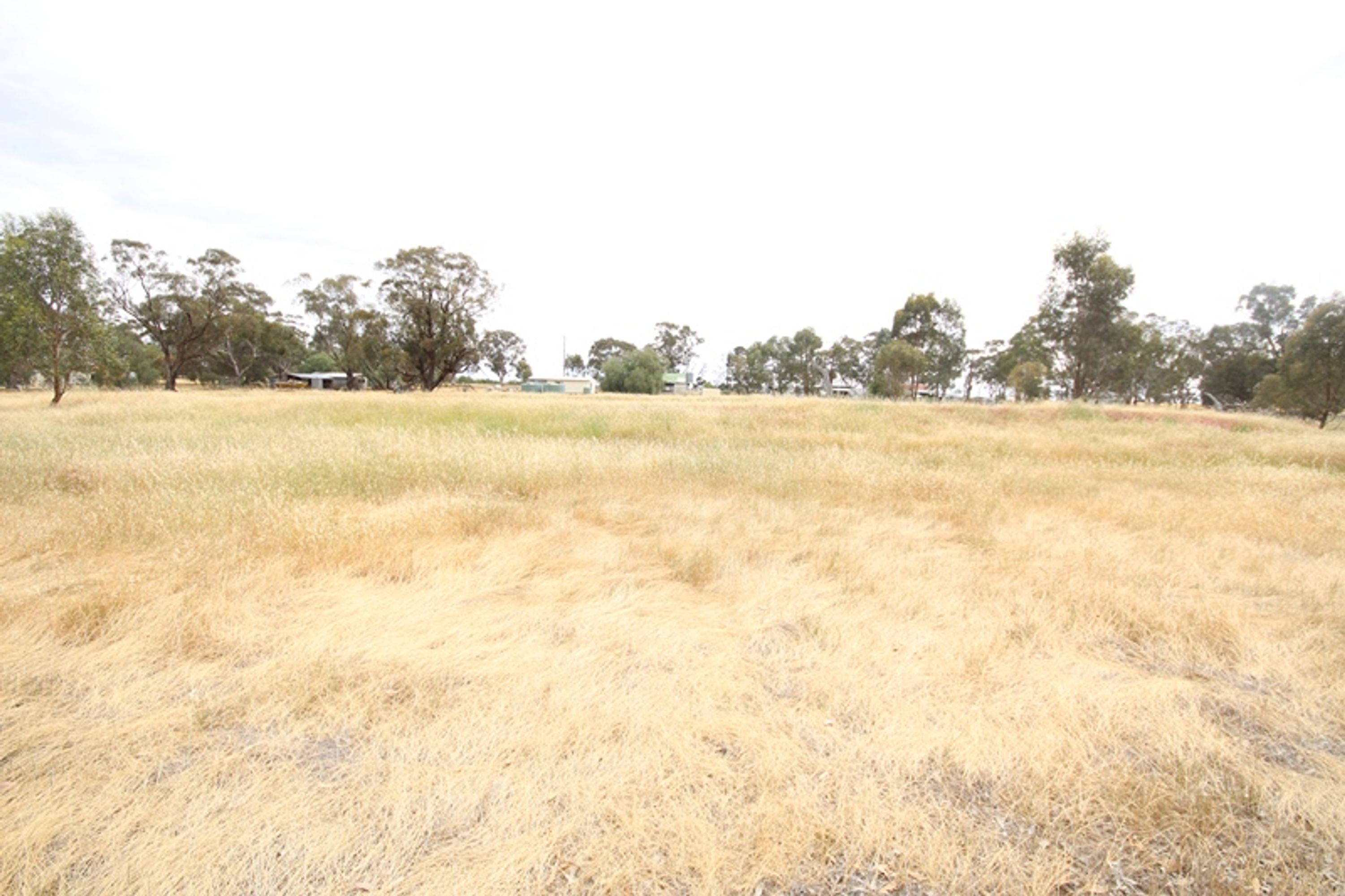 41 Wonwondah-Toolondo Road, Wonwondah VIC 3401, Wonwondah - Thumbnail 6