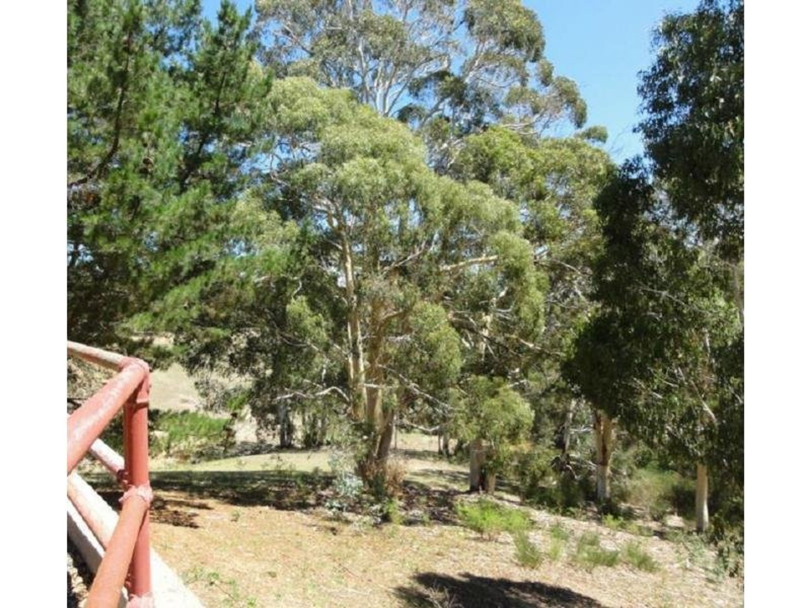 47 Debneys Road, Norton Summit, SA 5136, Norton Summit - Thumbnail 3