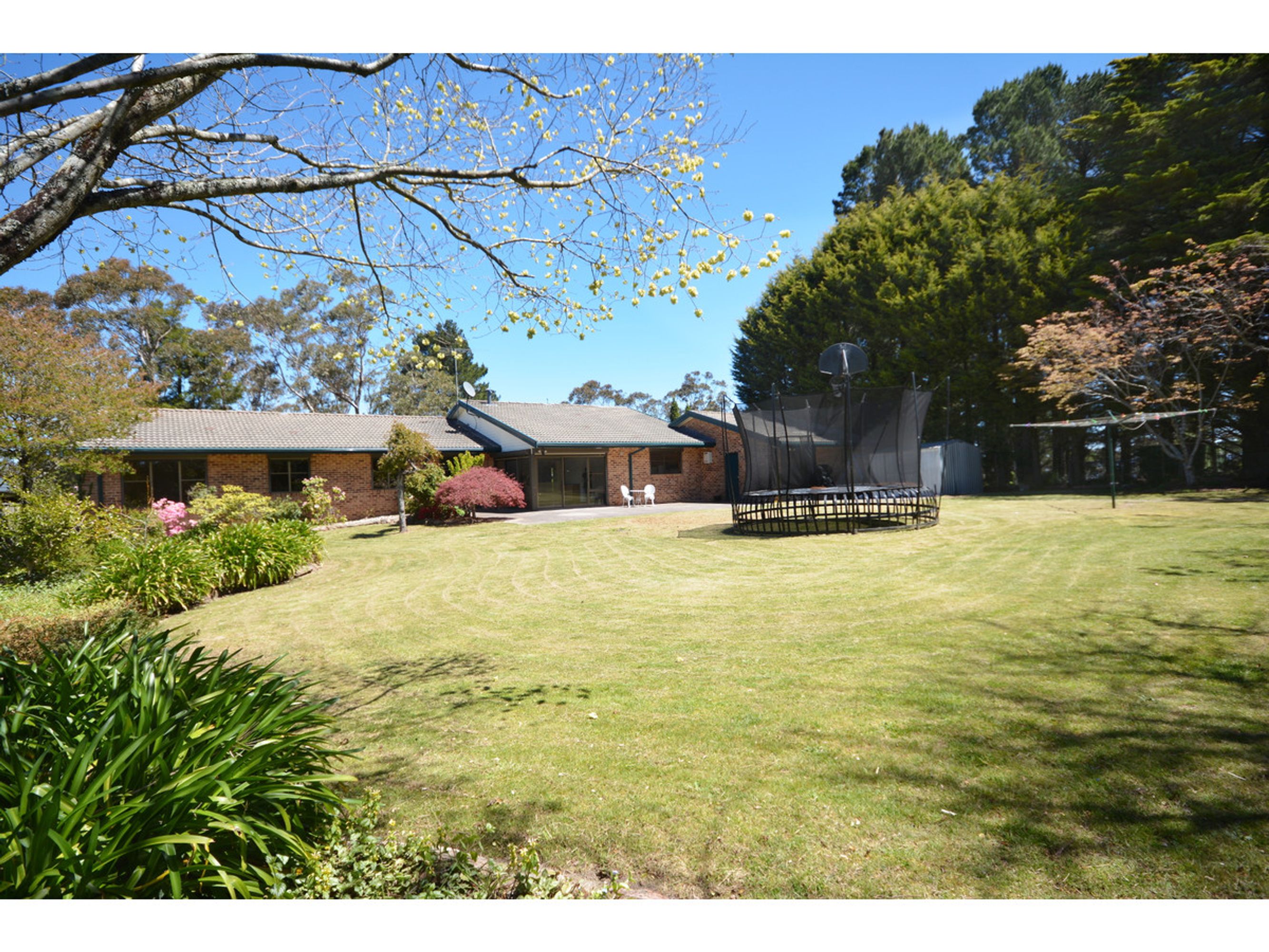 53-55 Cedar Street, Katoomba - Thumbnail 8